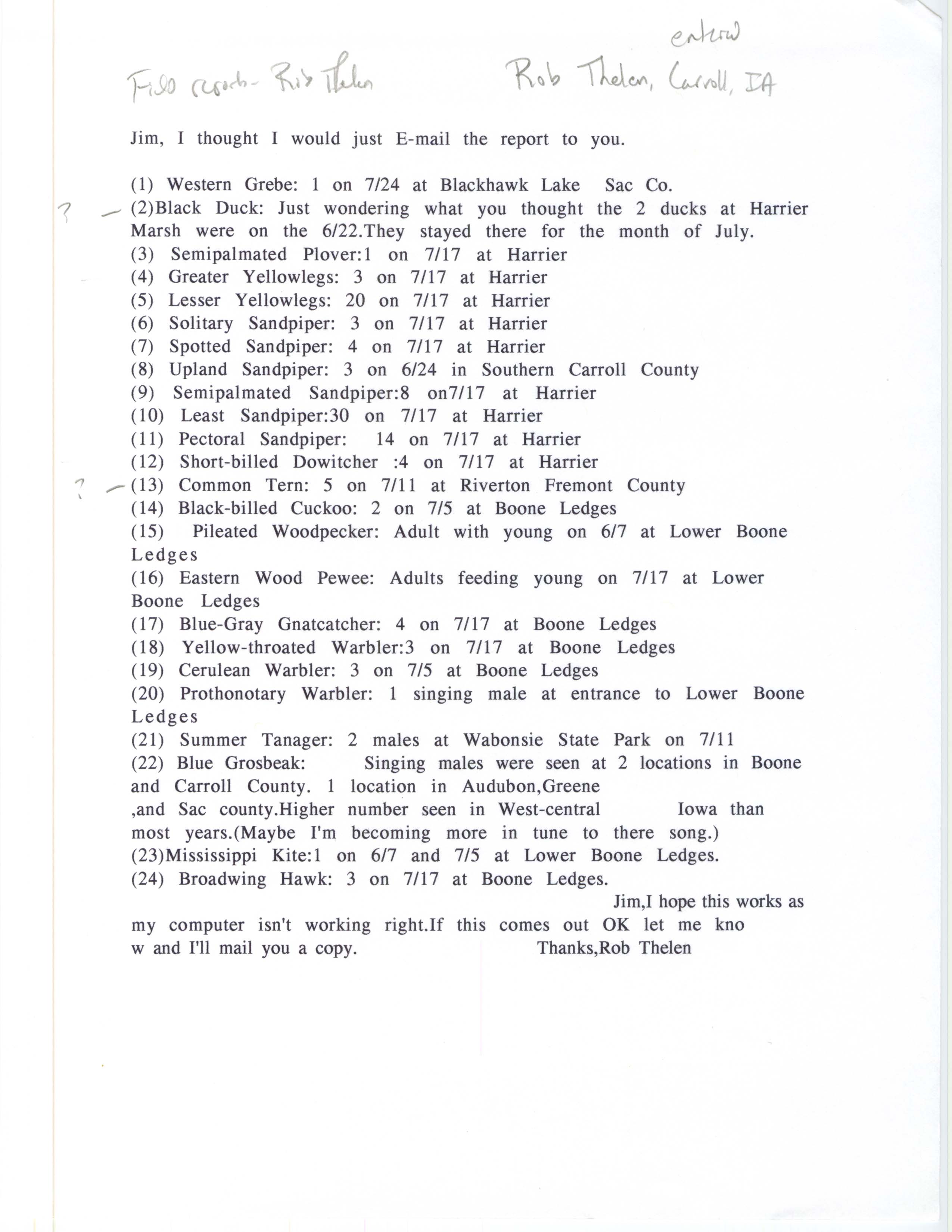 Annotated bird sighting list for summer 1999 compiled by Rob Thelen