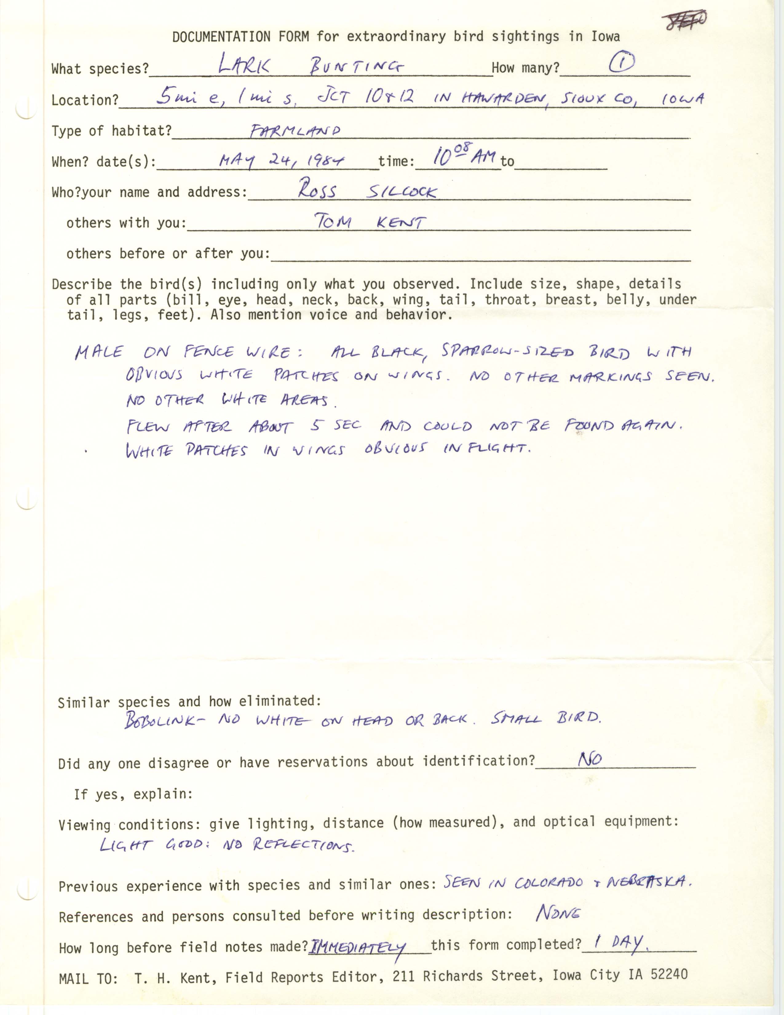 Rare bird documentation form for Lark Bunting southeast of Hawarden, 1984