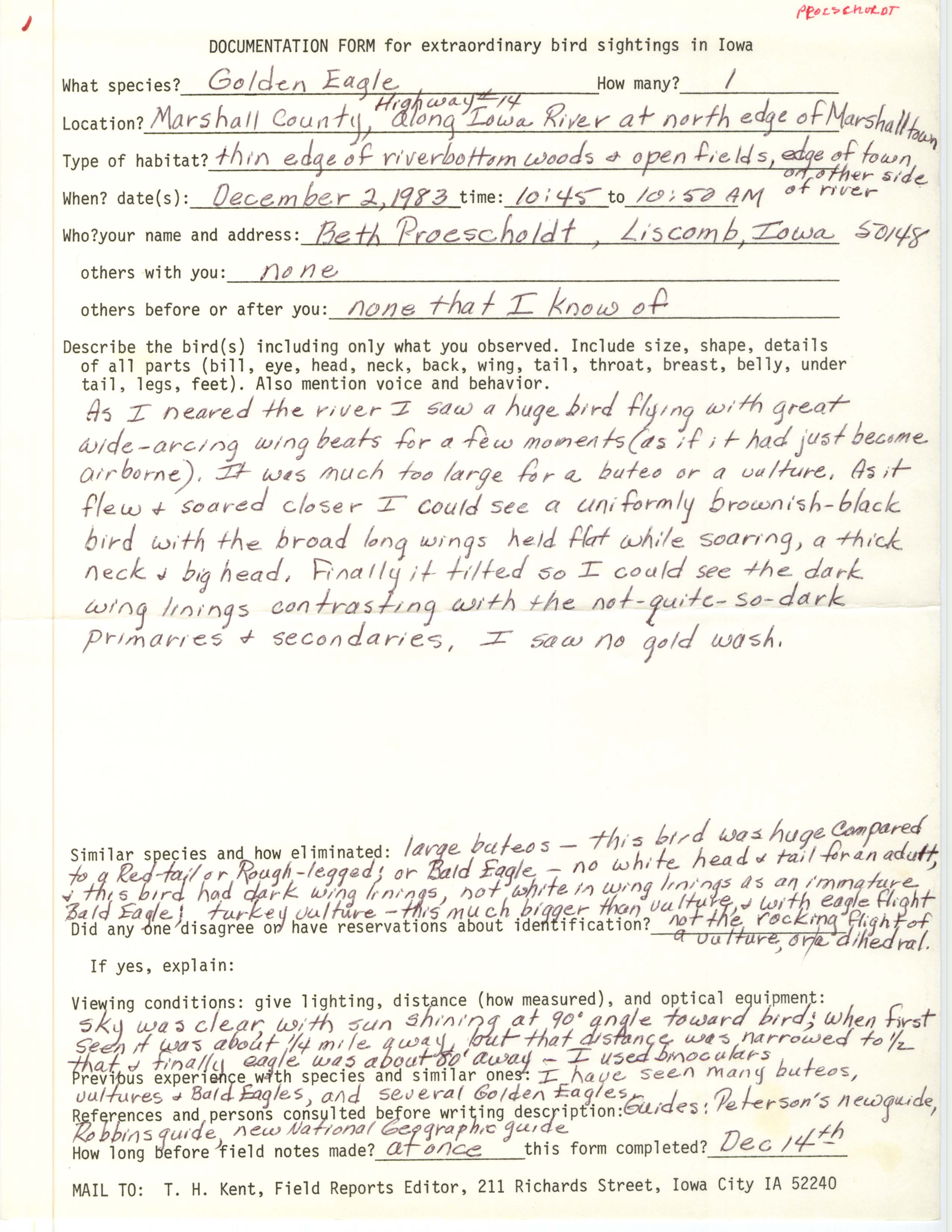 Rare bird documentation form for Golden Eagle at Marshalltown, 1983