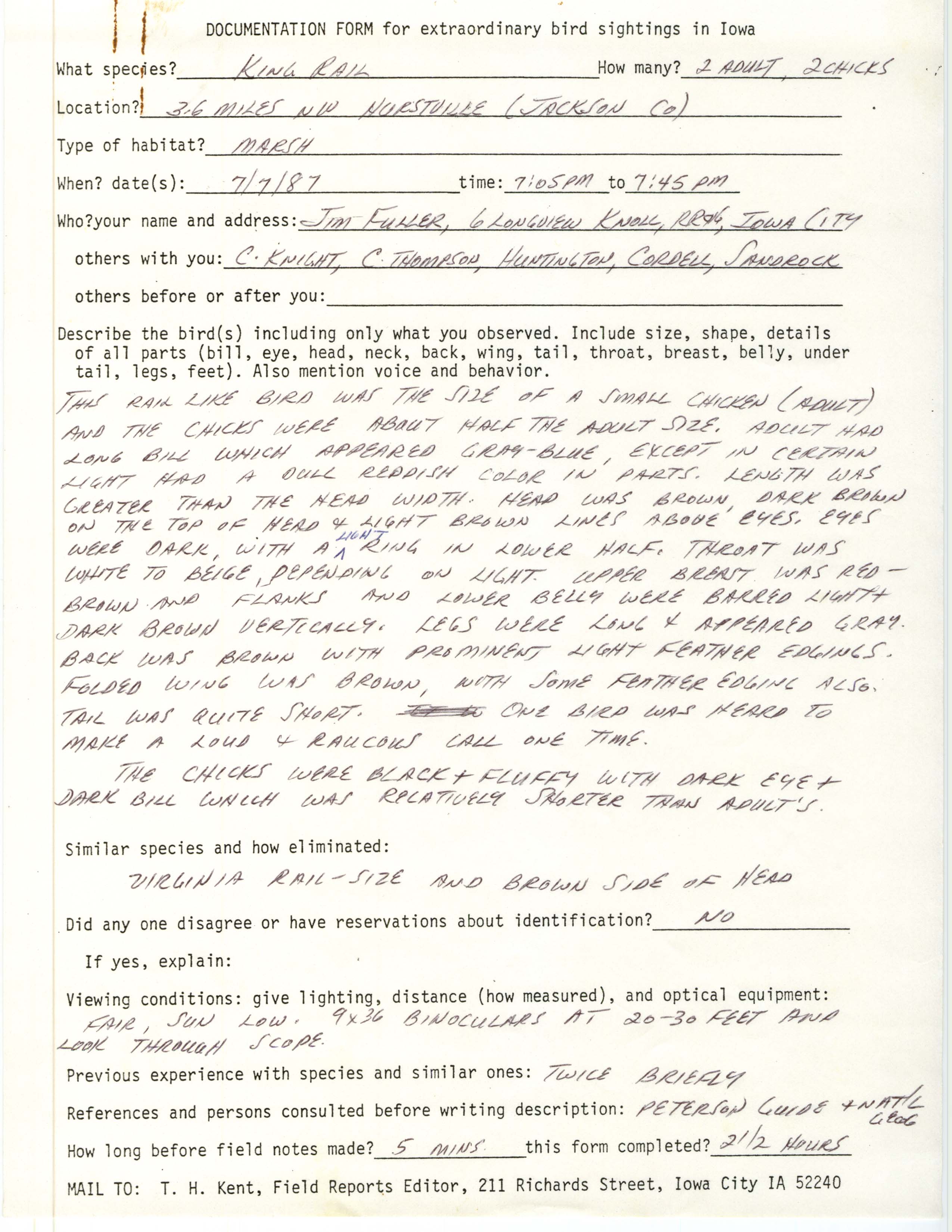 Rare bird documentation form for King Rail at Hurstville, 1987
