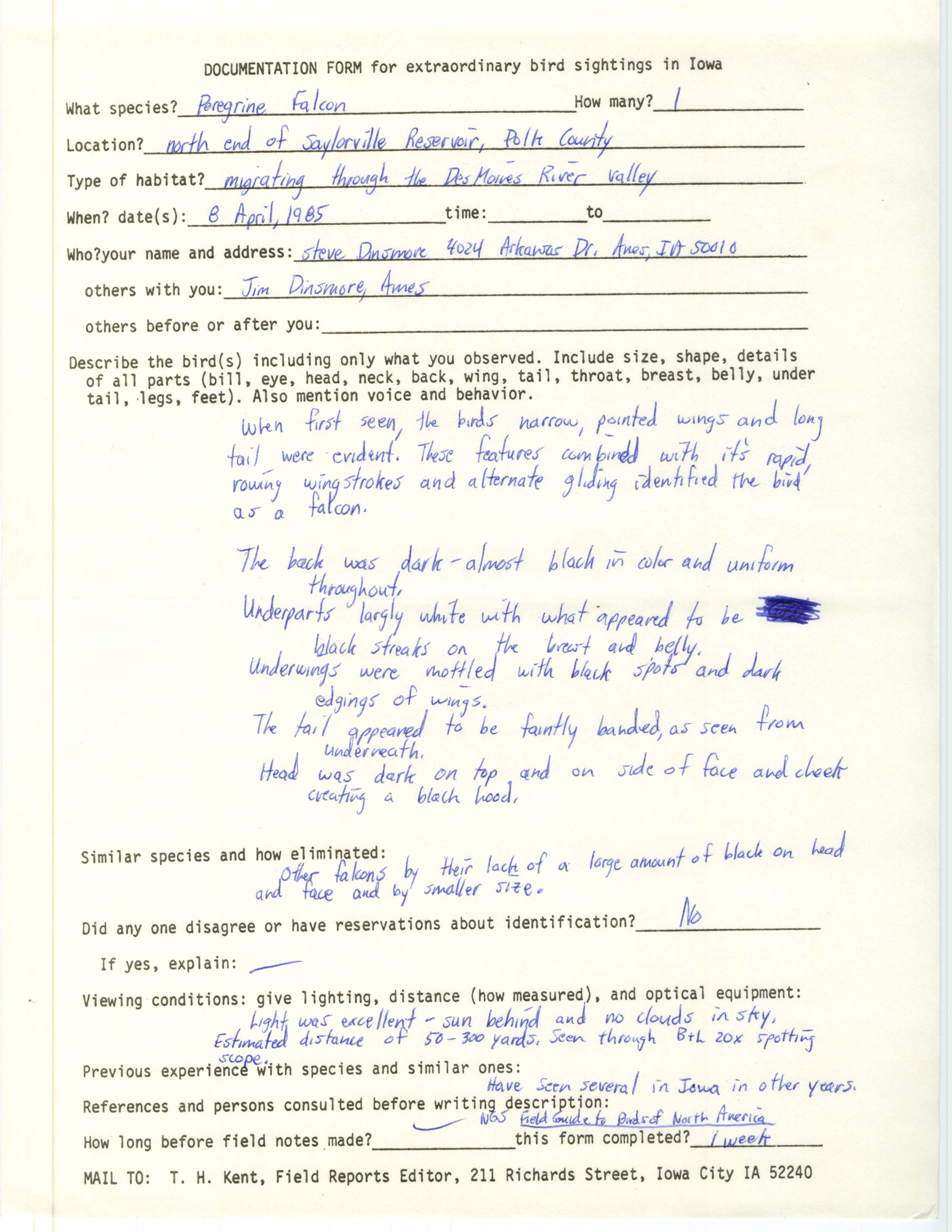 Rare bird documentation form for Peregrine Falcon at the north end of Saylorville Reservoir, 1985