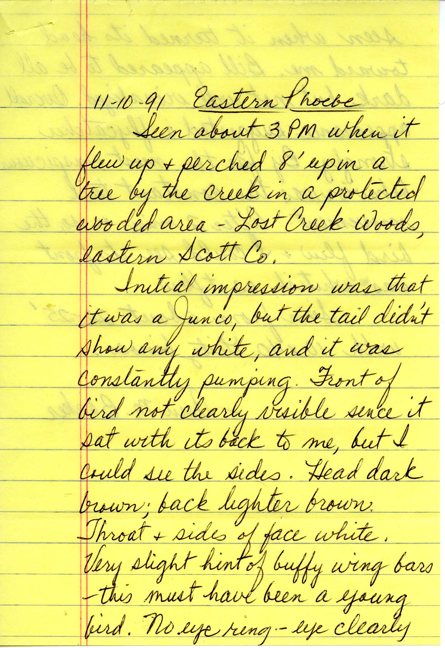 Field notes and Ann M. Barker letter to Thomas H. Kent regarding bird sightings, November 12, 1991