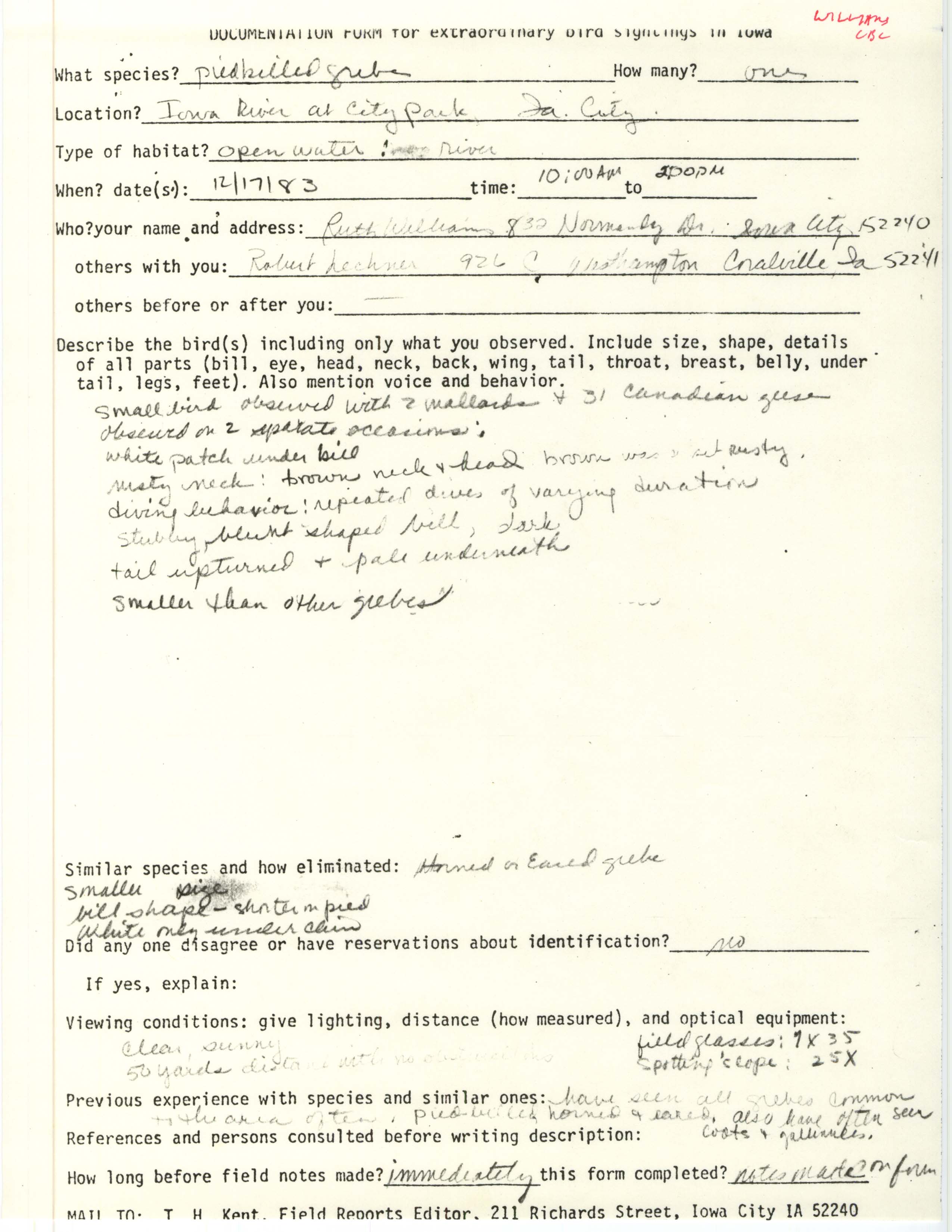 Rare bird documentation form for Pied-billed Grebe at City Park, 1983