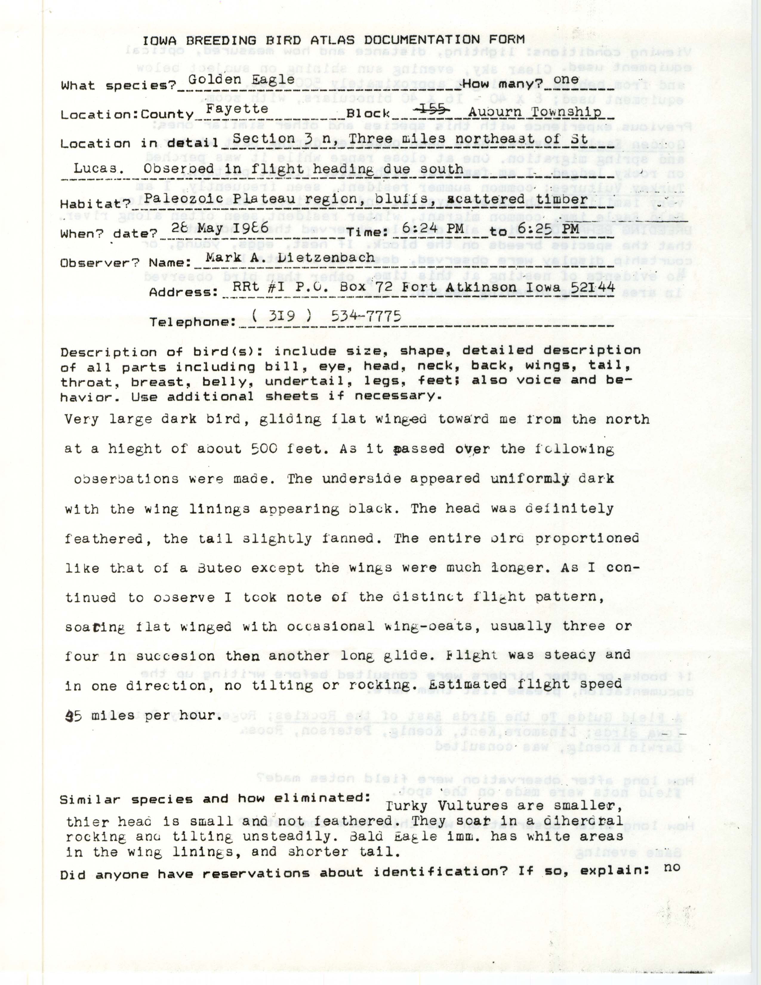 Rare bird documentation form for Golden Eagle near St. Lucas, 1986