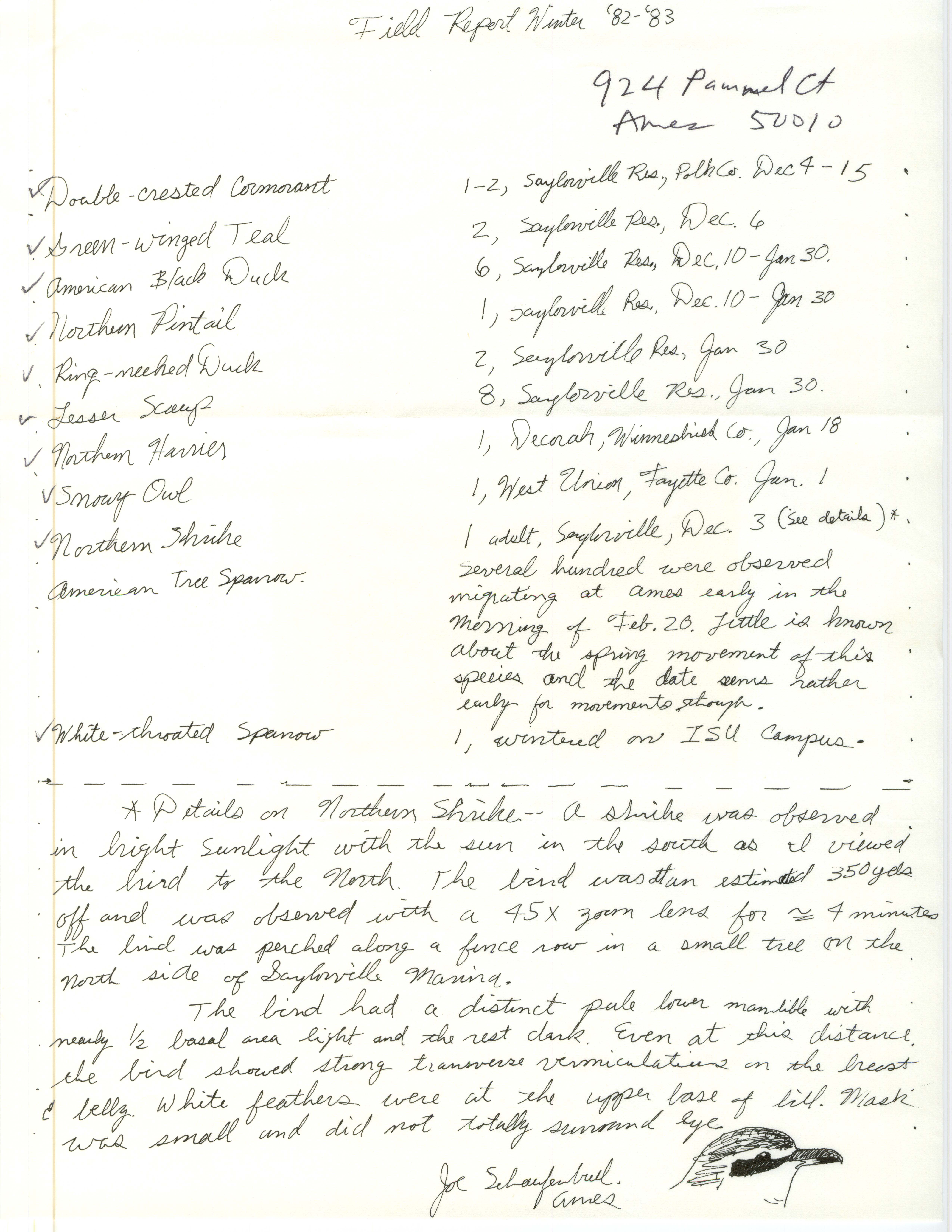 Field notes contributed by Joseph P. Schaufenbuel, winter 1982-1983