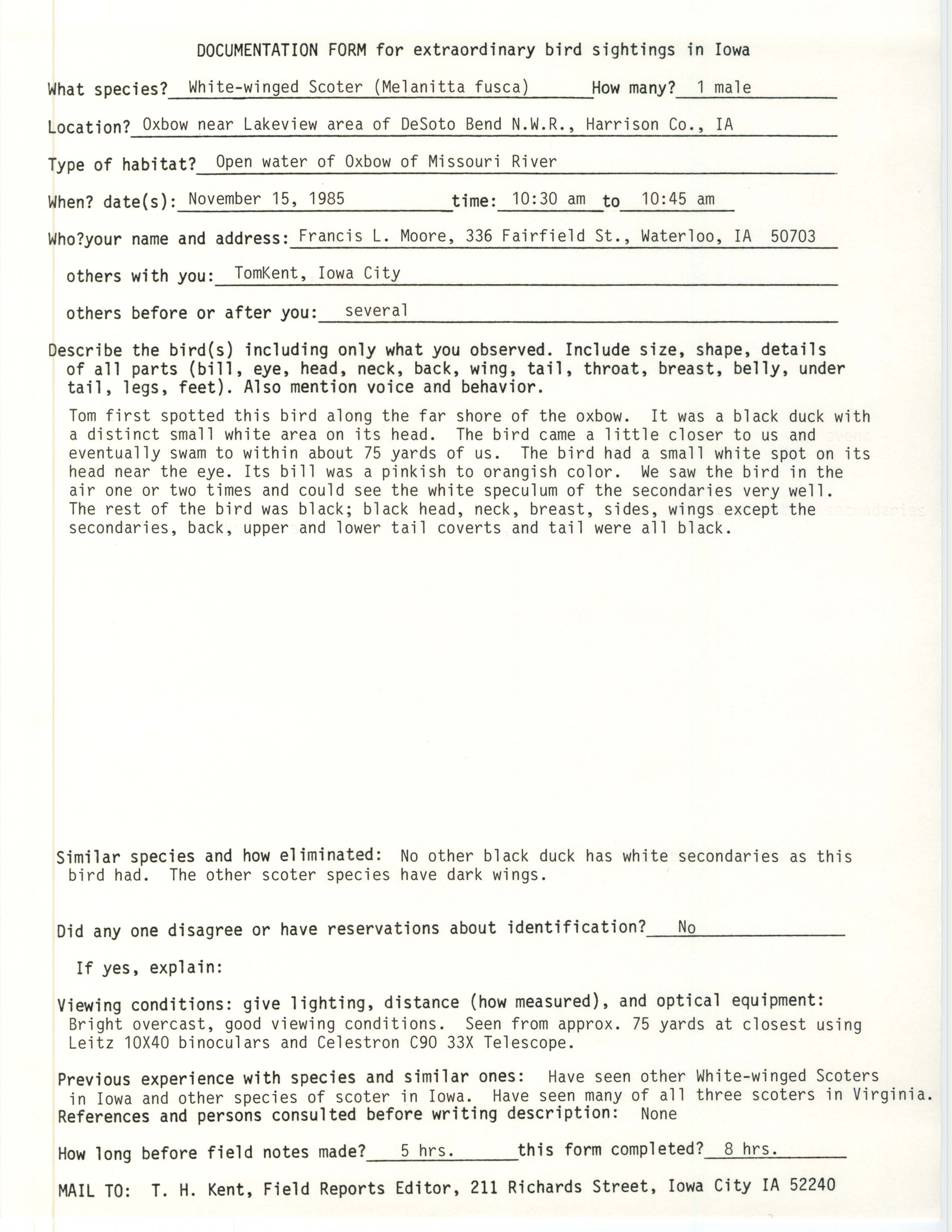 Rare bird documentation form for White-winged Scoter at DeSoto Bend National Wildlife Refuge, 1985