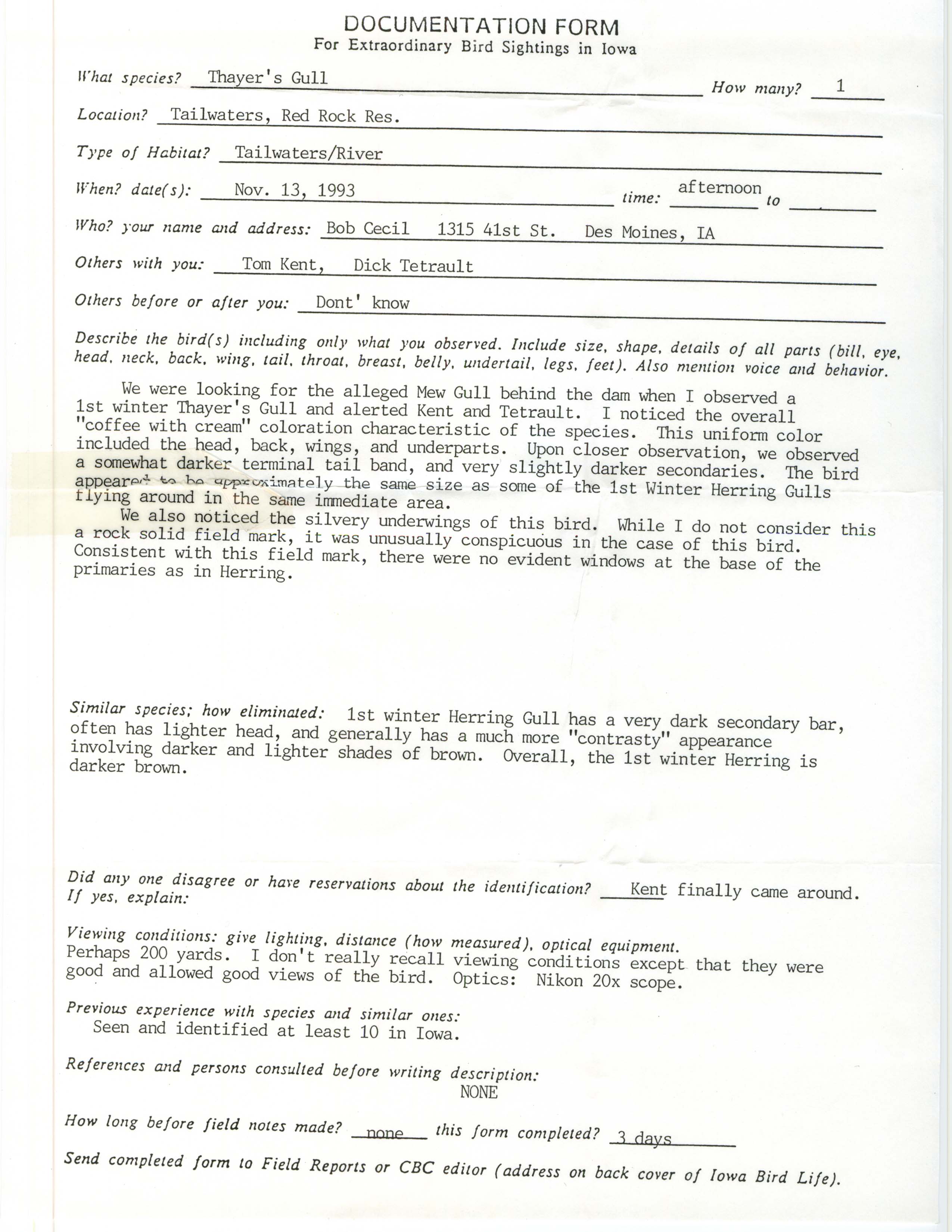 Rare bird documentation form for Thayer's Gull at Red Rock Reservoir, 1993