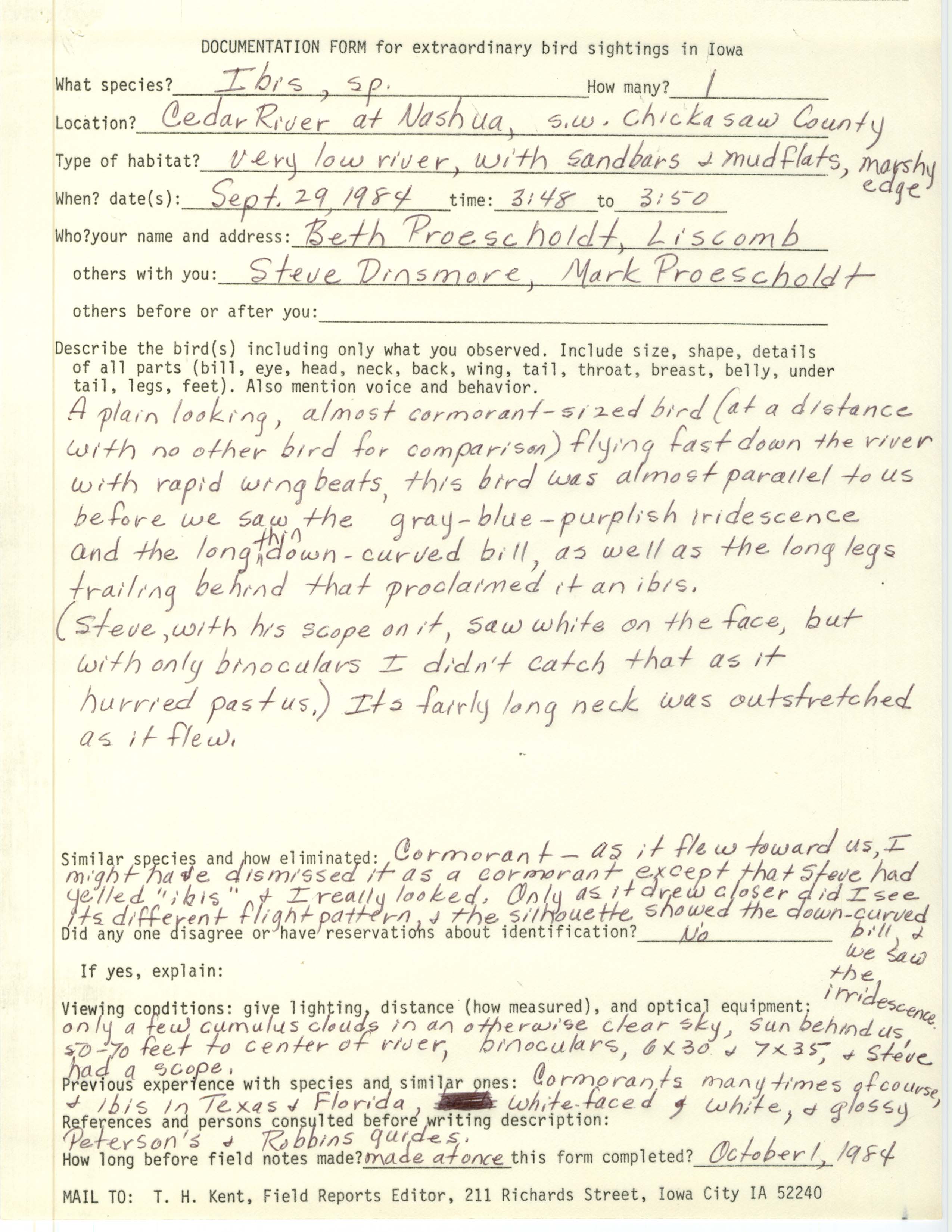 Rare bird documentation form for Ibis species at Cedar River at Nashua, 1984