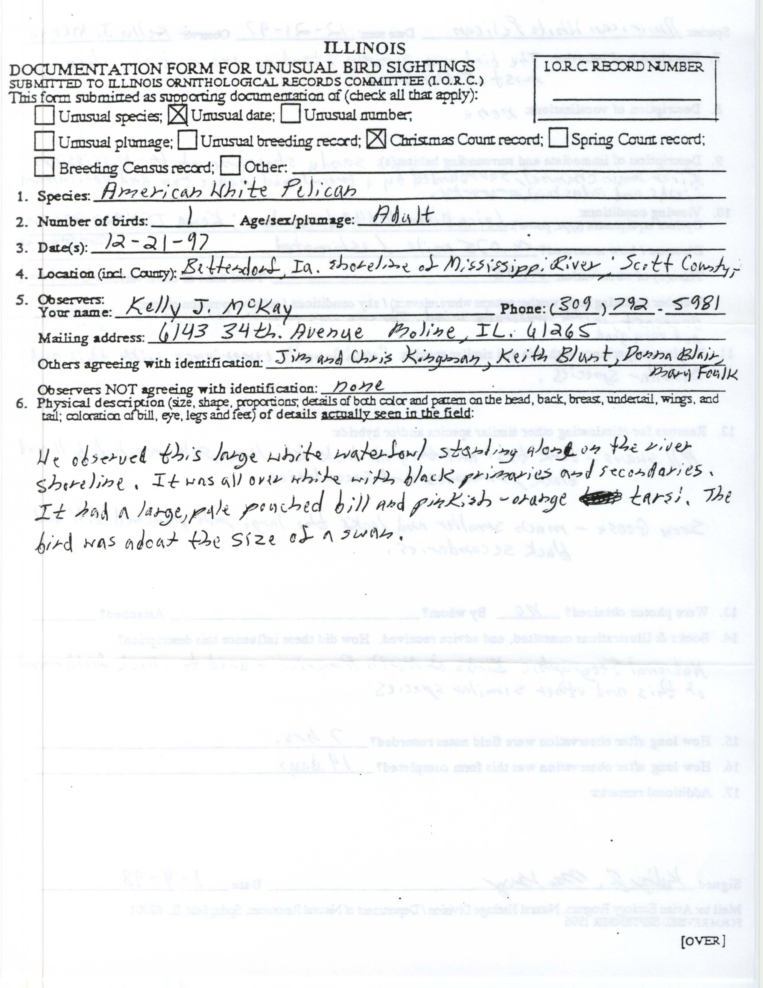 Rare bird documentation form for American White Pelican at Bettendorf, 1997