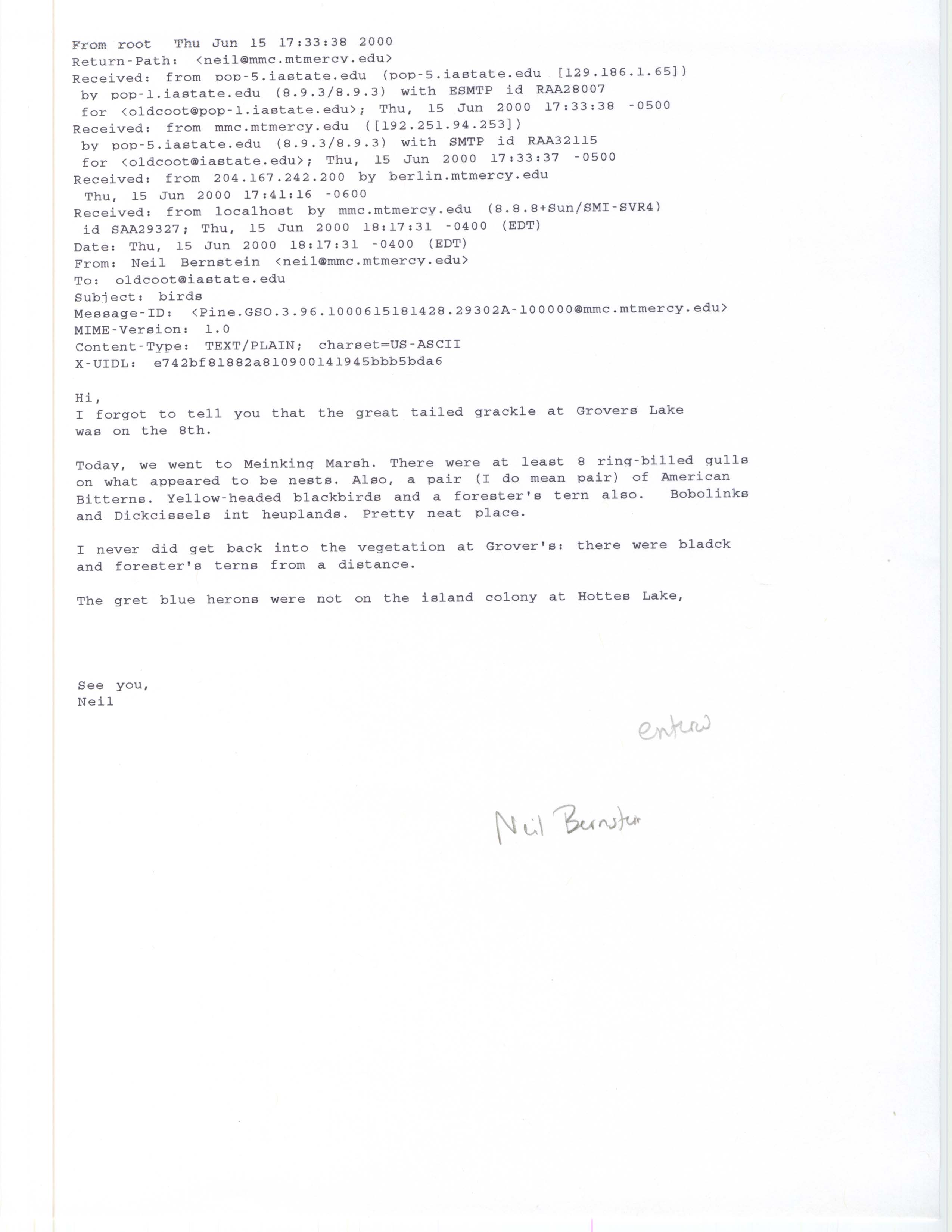 Neil Bernstein email to James J. Dinsmore regarding summer bird sightings, June 15, 2000