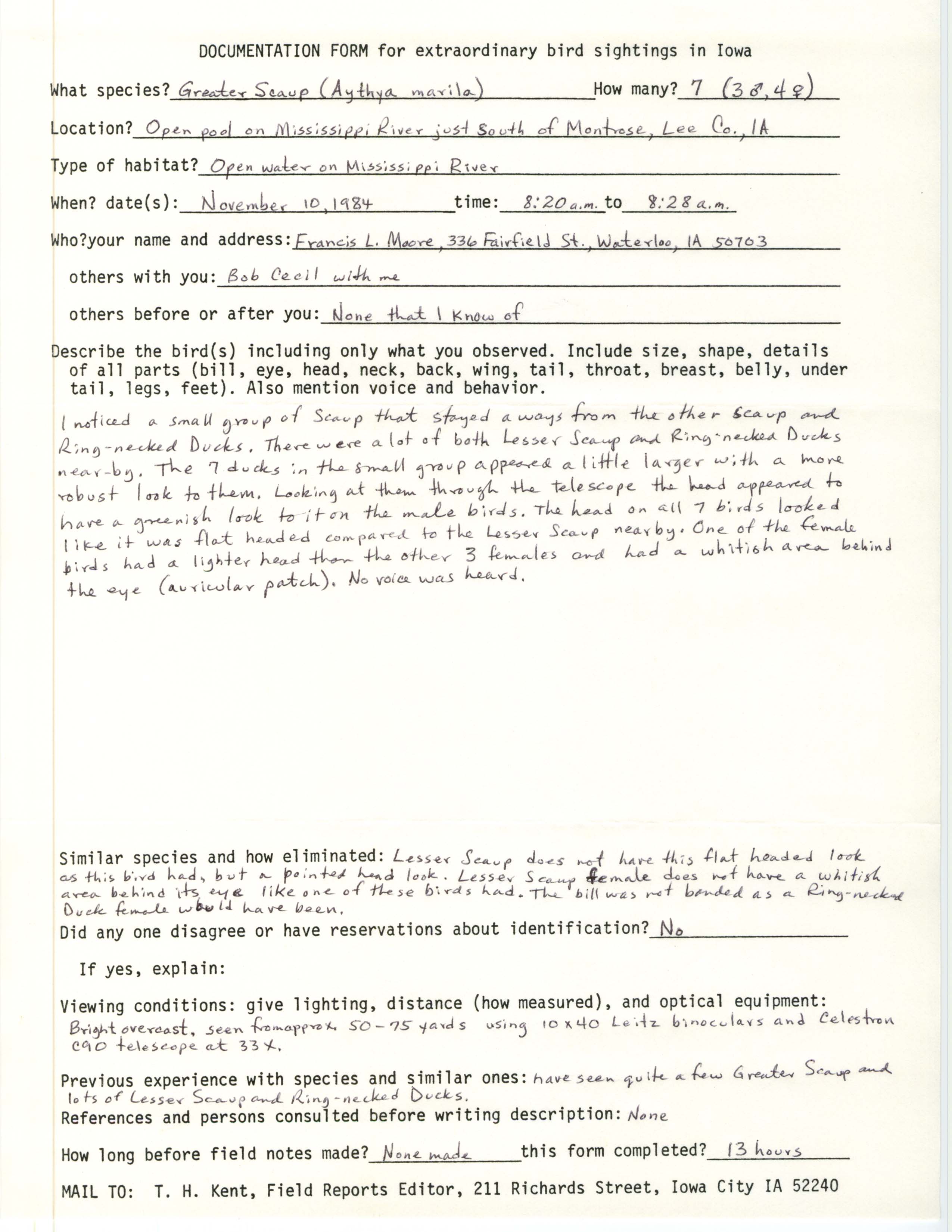 Rare bird documentation form for Greater Scaup near Montrose, 1984