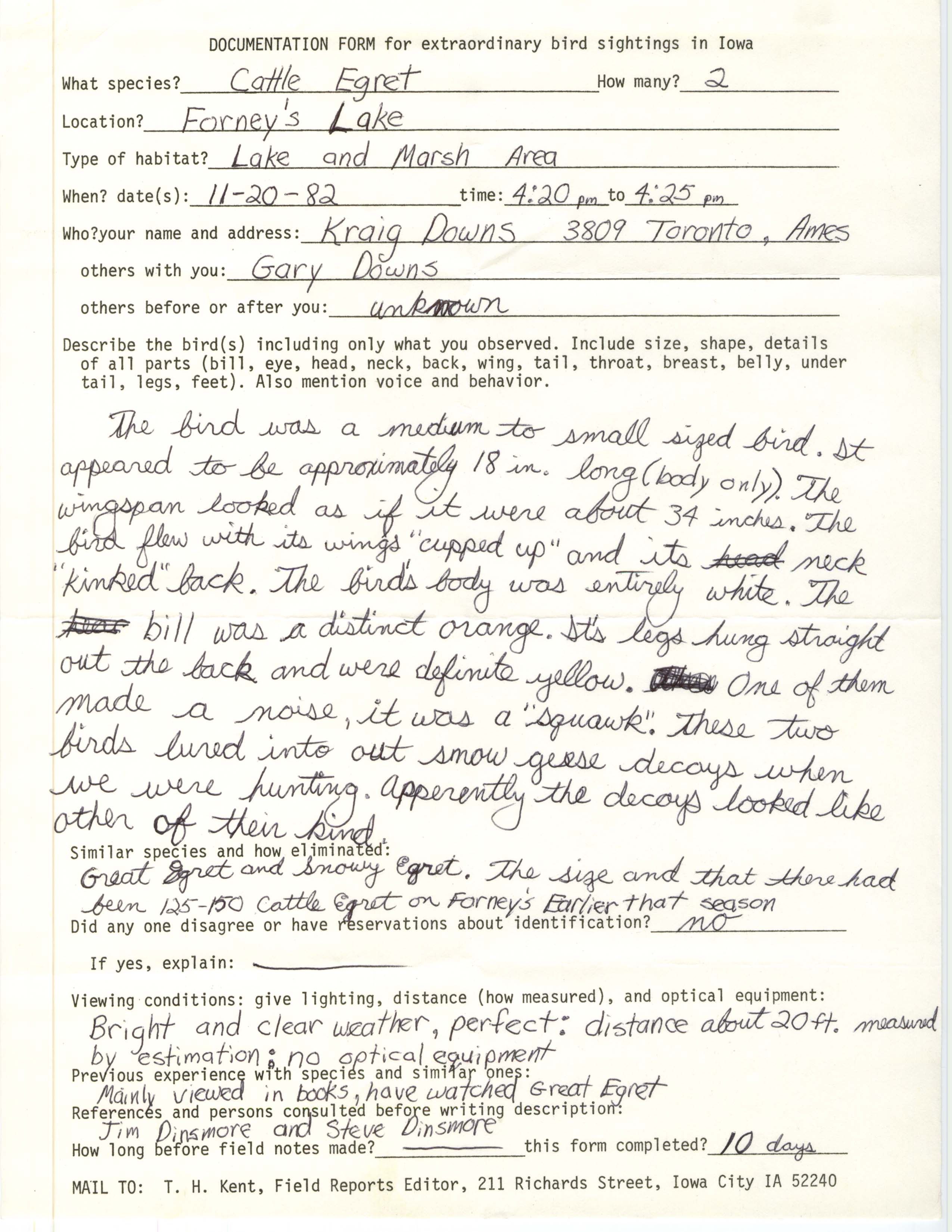 Rare bird documentation form for Cattle Egret at Forney's Lake, 1982