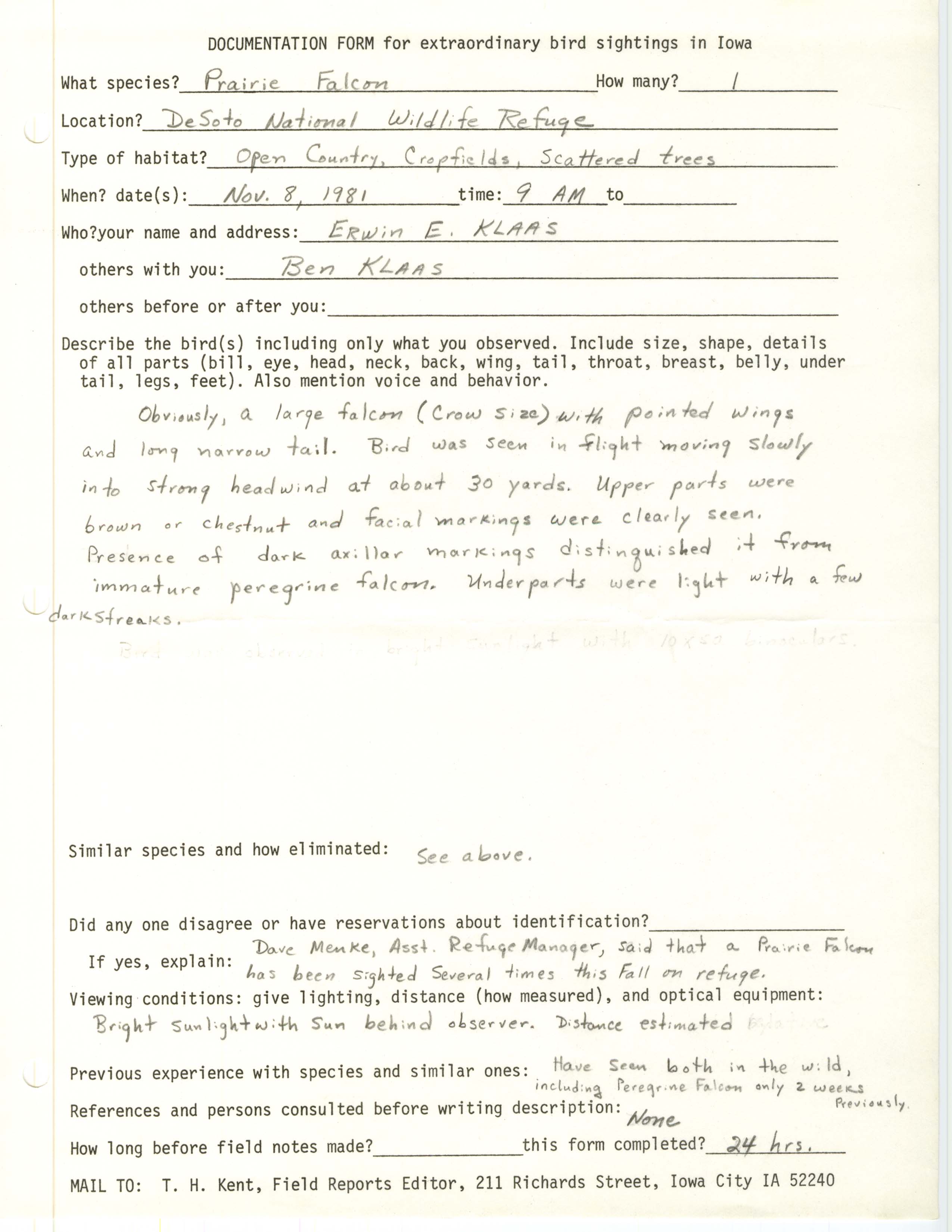 Rare bird documentation form for Prairie Falcon at DeSoto National Wildlife Refuge in 1981