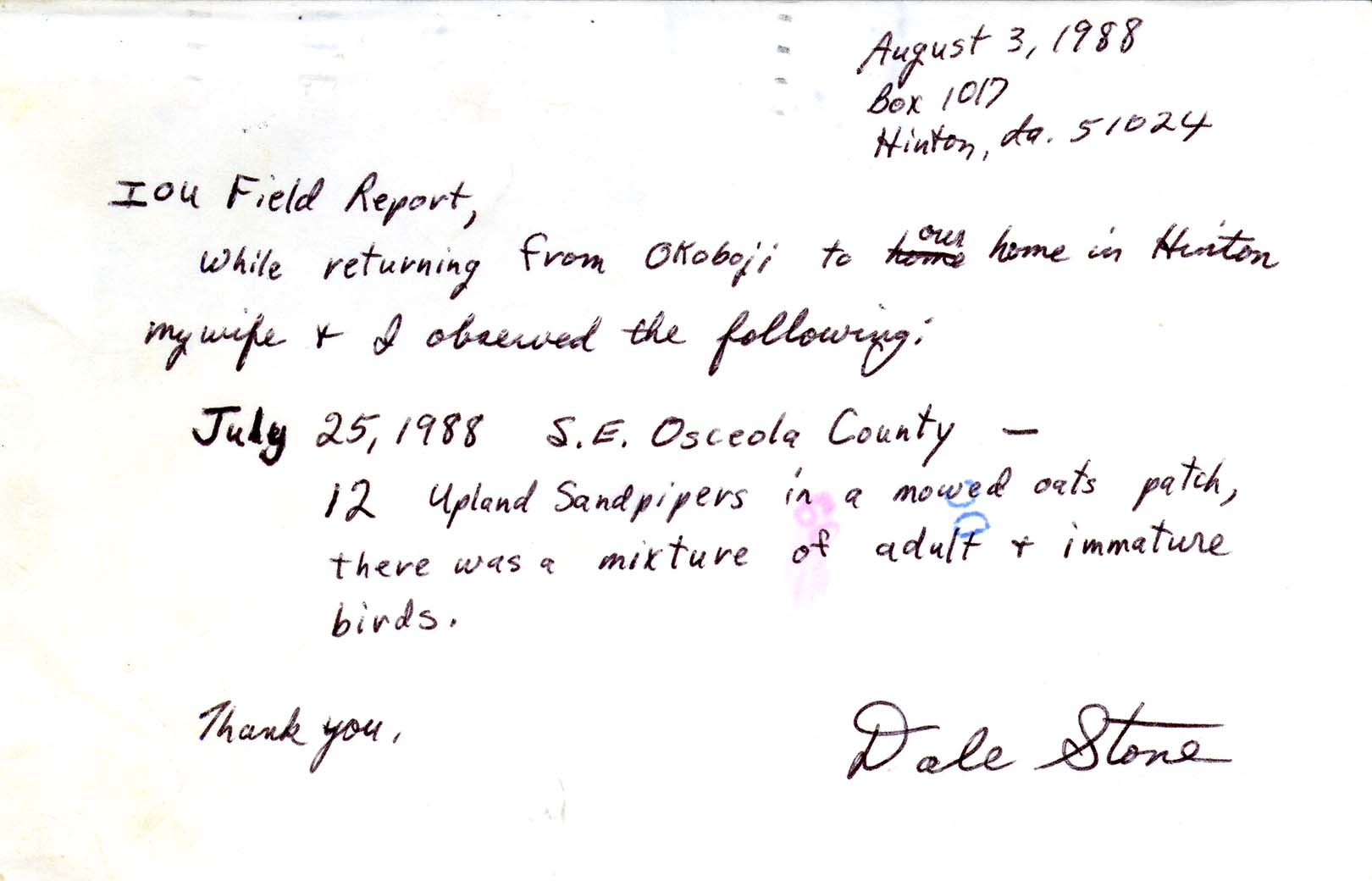 Dale Stone letter to James J. Dinsmore regarding Upland Sandpiper sightings, August 3, 1988