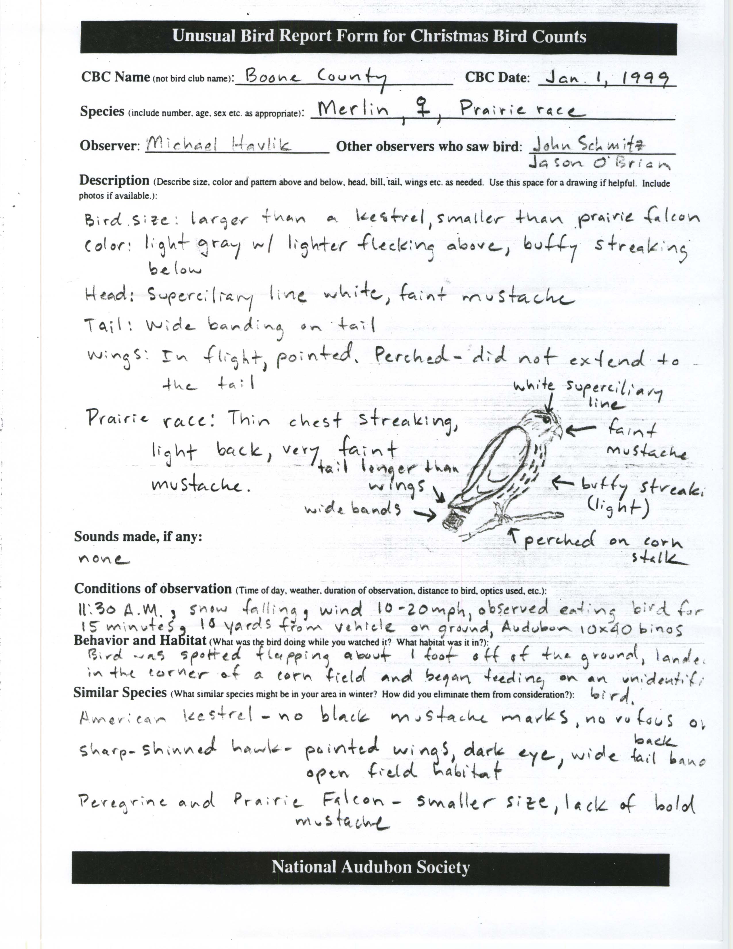 Rare bird documentation form for Merlin at Boone County, 1999