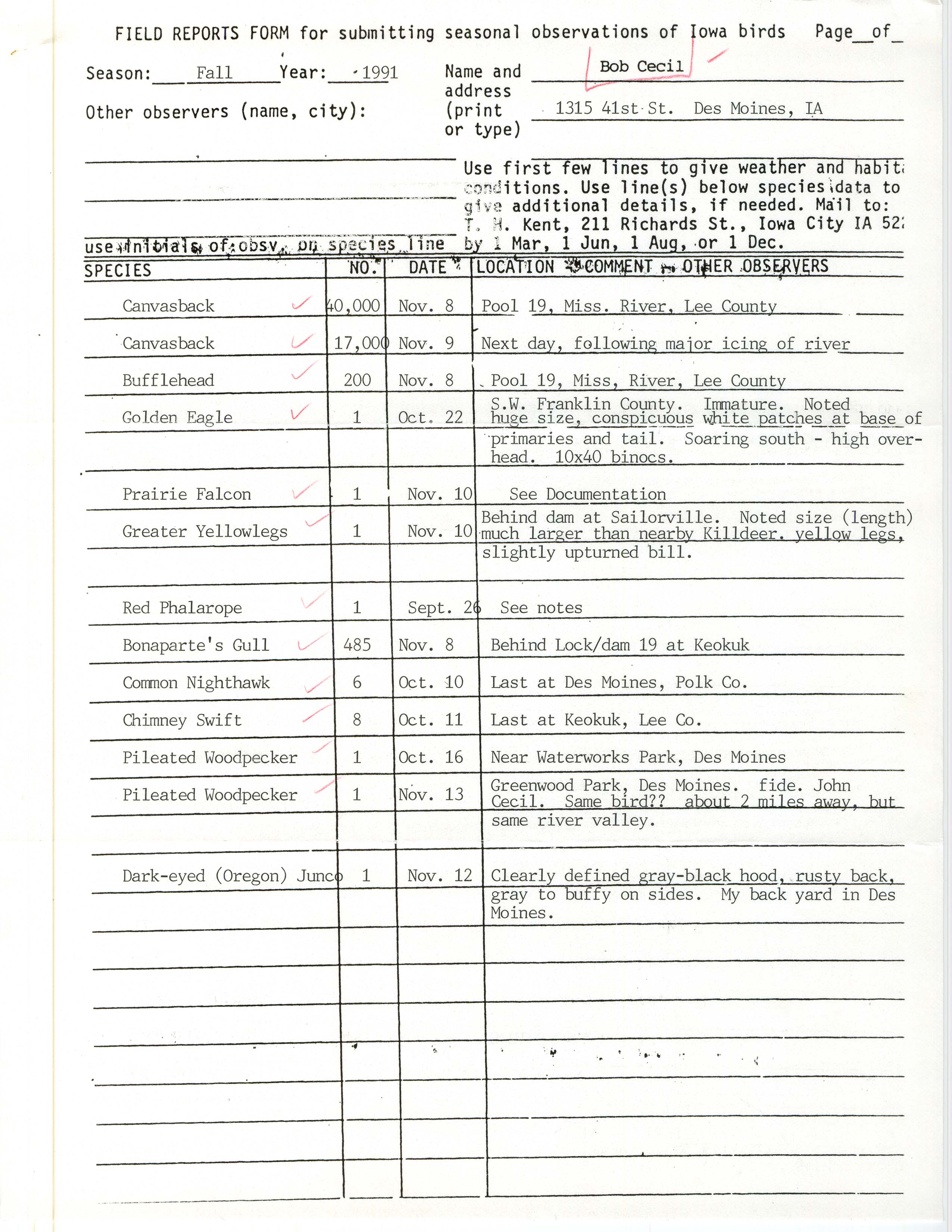 Field reports form for submitting seasonal observations of Iowa birds, Robert I. Cecil, fall 1991