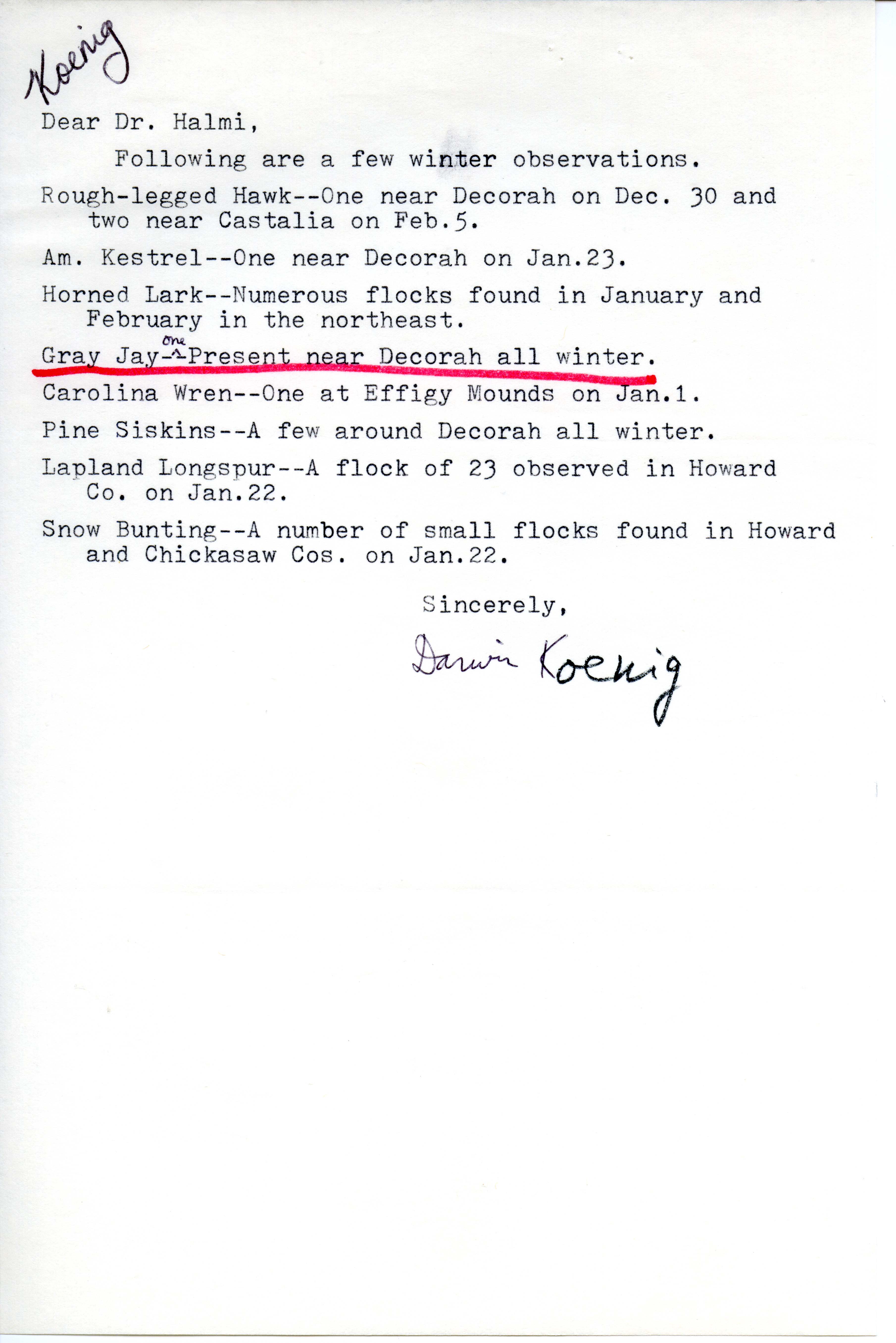 Darwin Koenig letter to Nicholas S. Halmi regarding bird sightings, winter 1976-1977