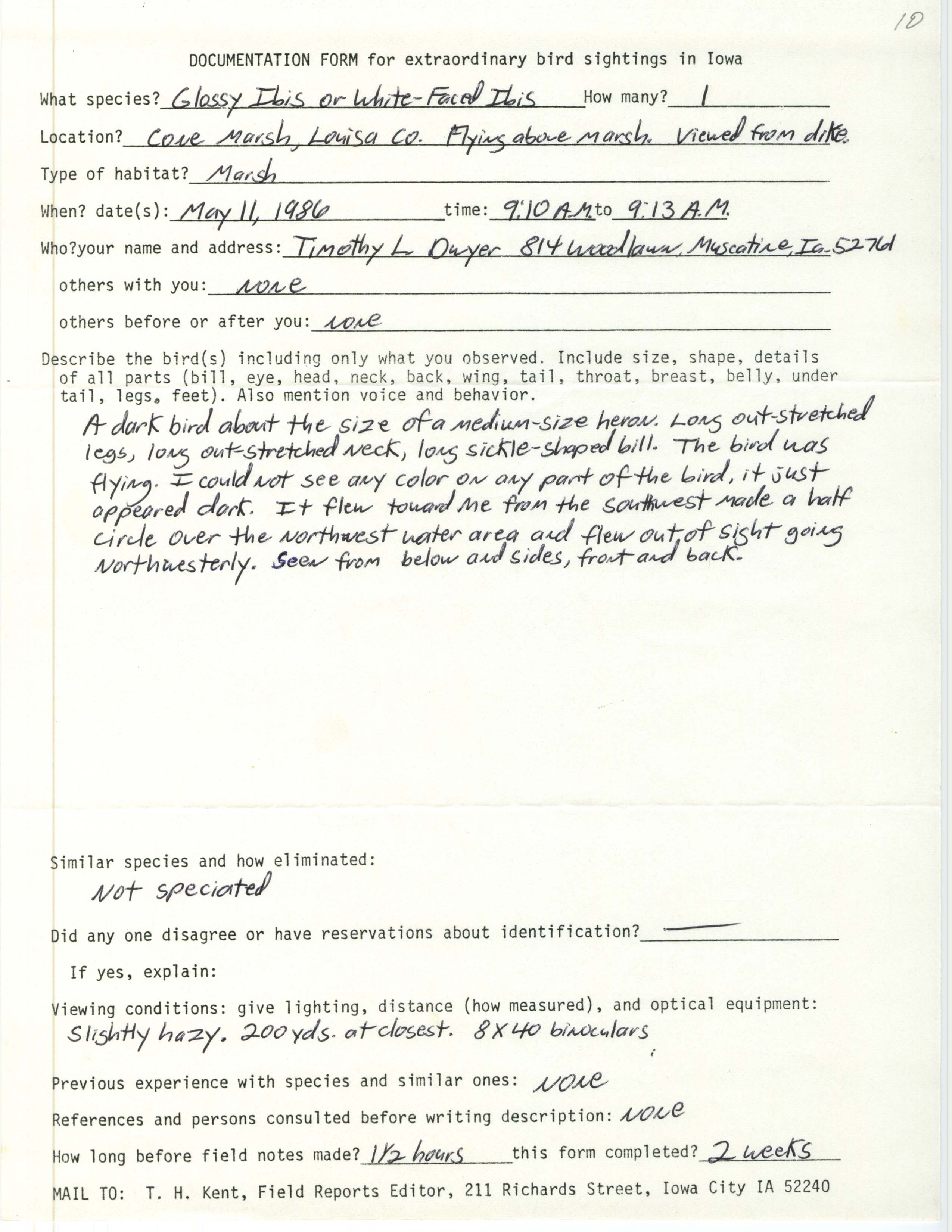 Rare bird documentation form for Ibis species at Cone Marsh, 1986