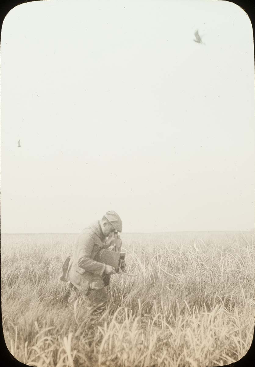 Lantern slide and photograph of Walter W. Bennett photographing a Black Tern's nest