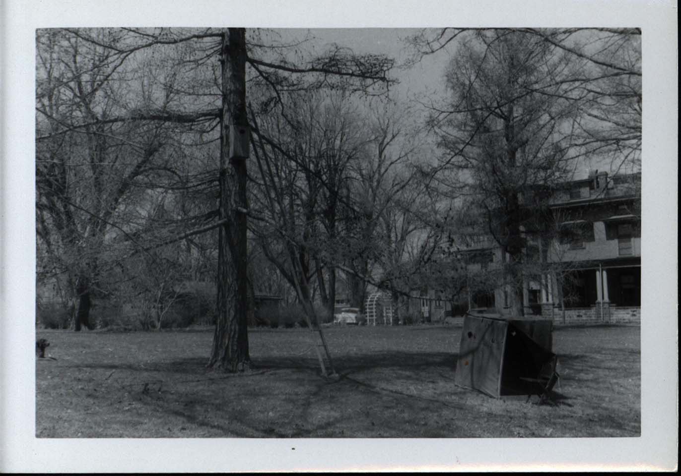 Photograph of a Wood Duck house and an observation blind in front of Frederic Leopold's house