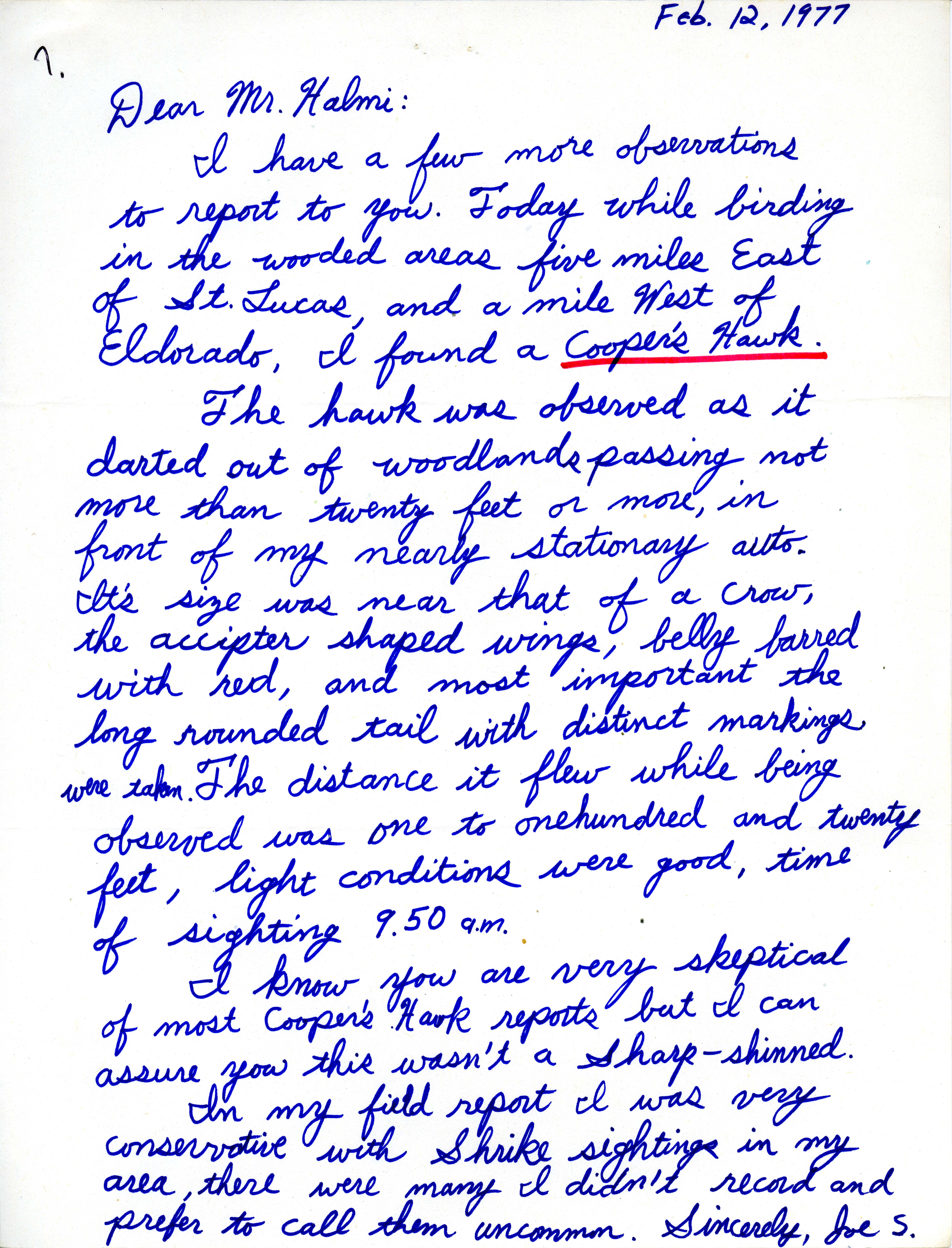 Joe Schaufenbuel letter to Nicholas S. Halmi regarding a Cooper's Hawk sighting, February 12, 1977