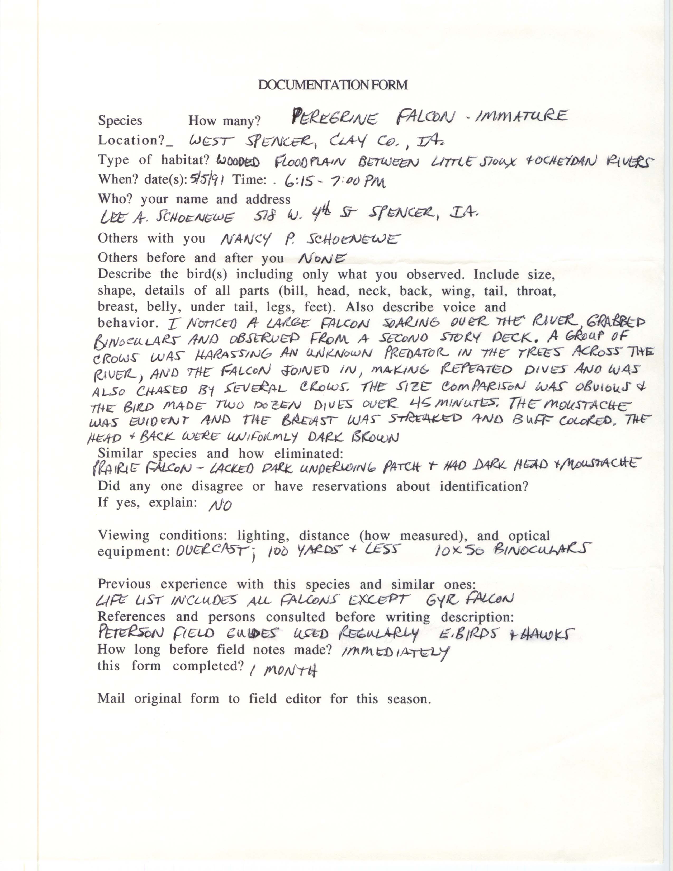Rare bird documentation form for Peregrine Falcon at West Spencer, 1991