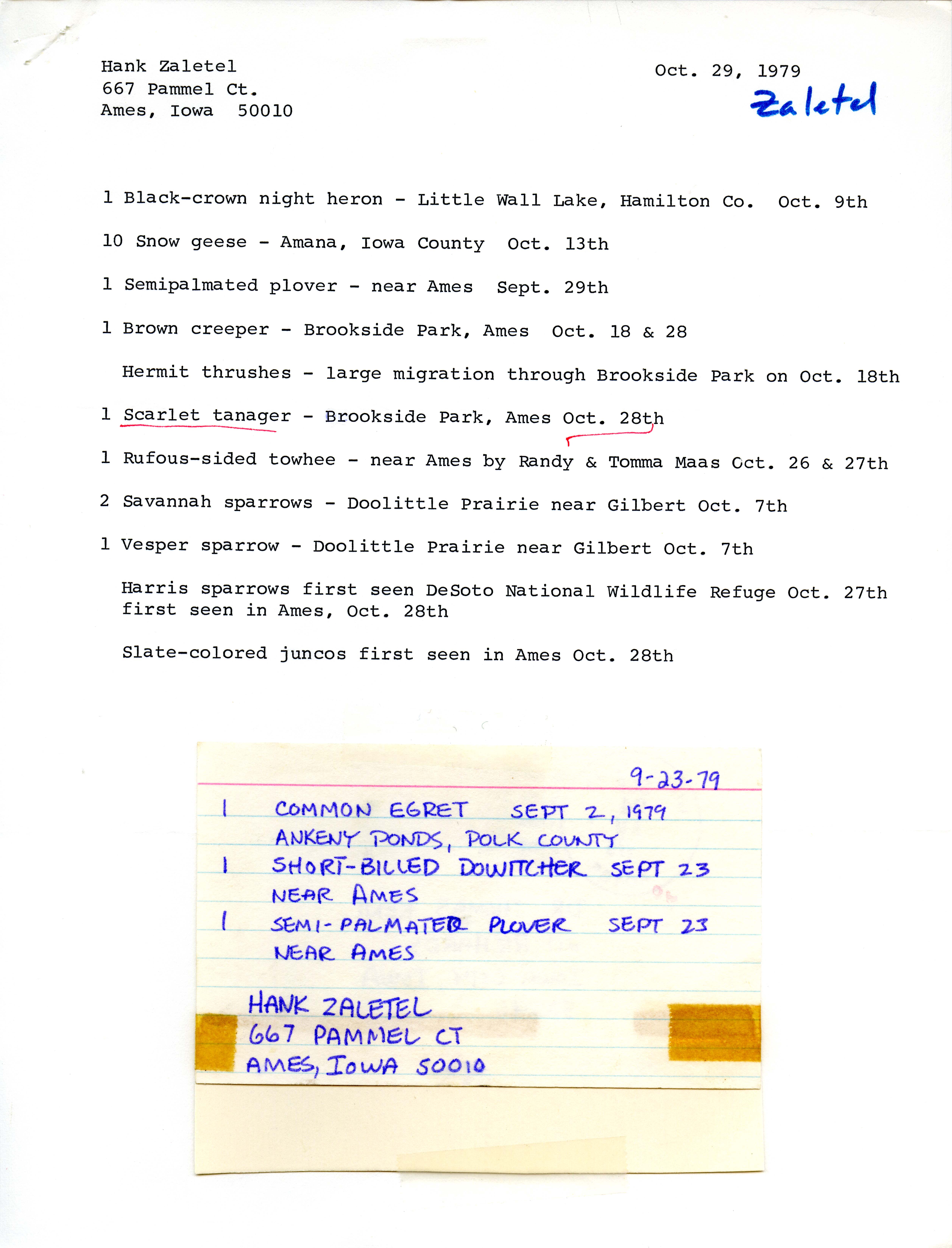 Letter from Hank and Linda Zaletel regarding bird sightings, October 29, 1979