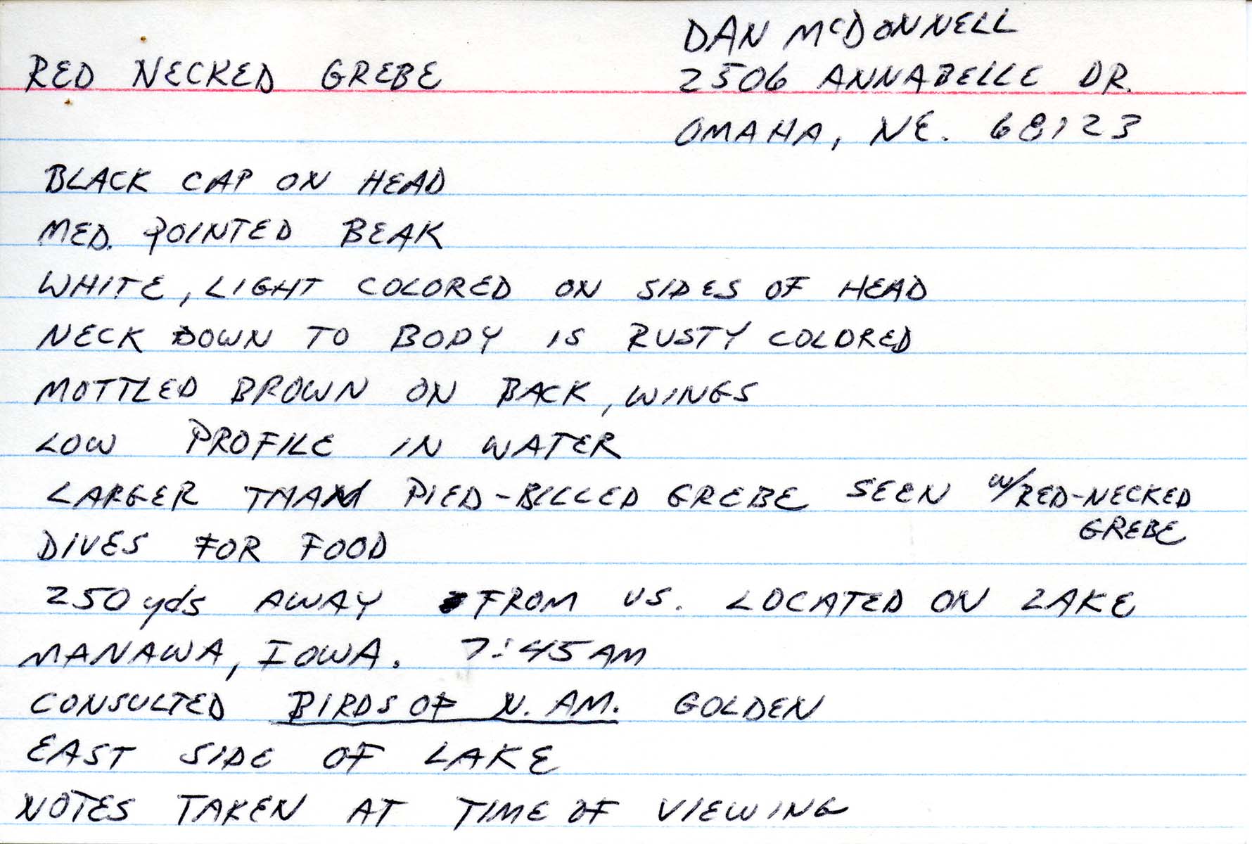 Field notes contributed by Dan McDonnell, spring 1988