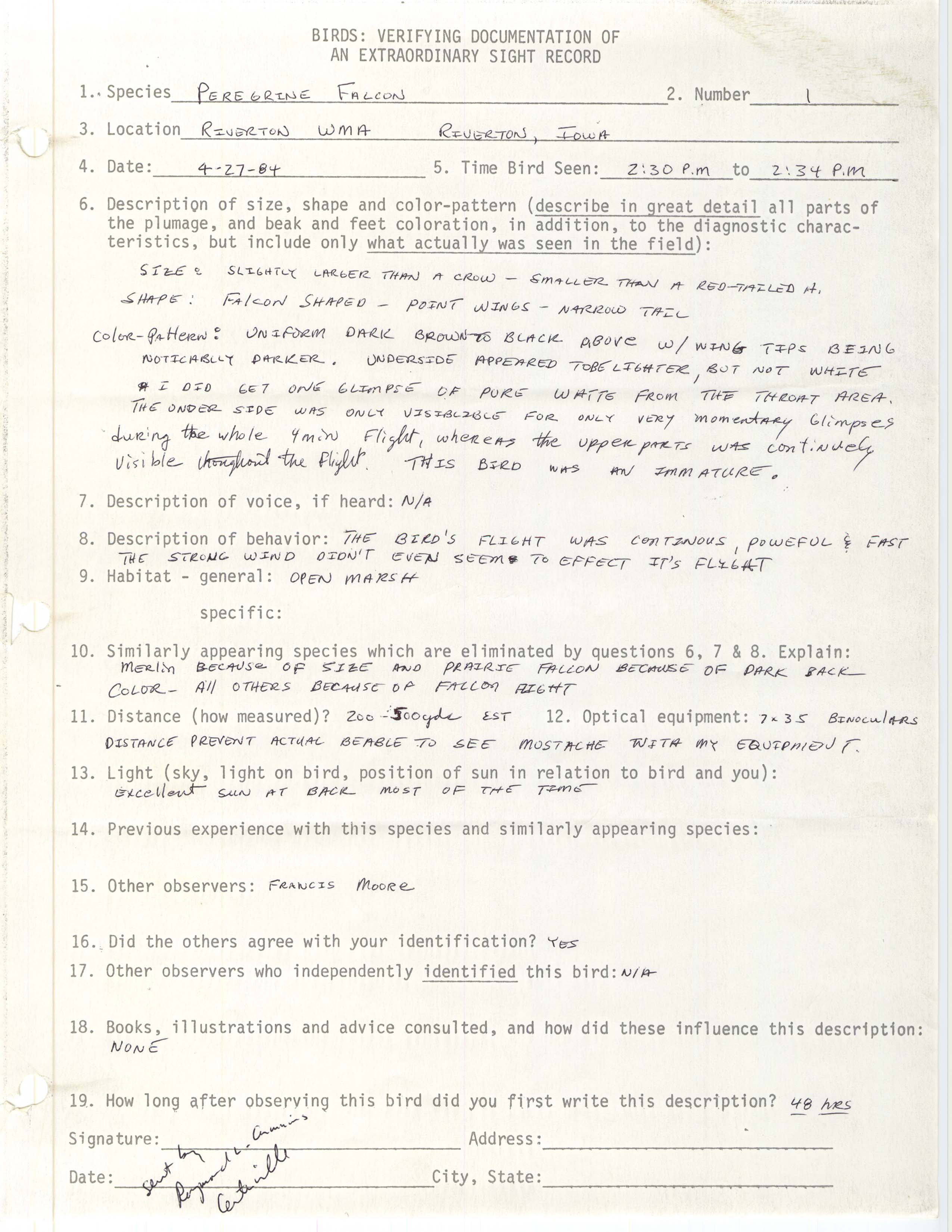 Rare bird documentation form for Peregrine Falcon at Riverton Wildlife Management Area, 1984