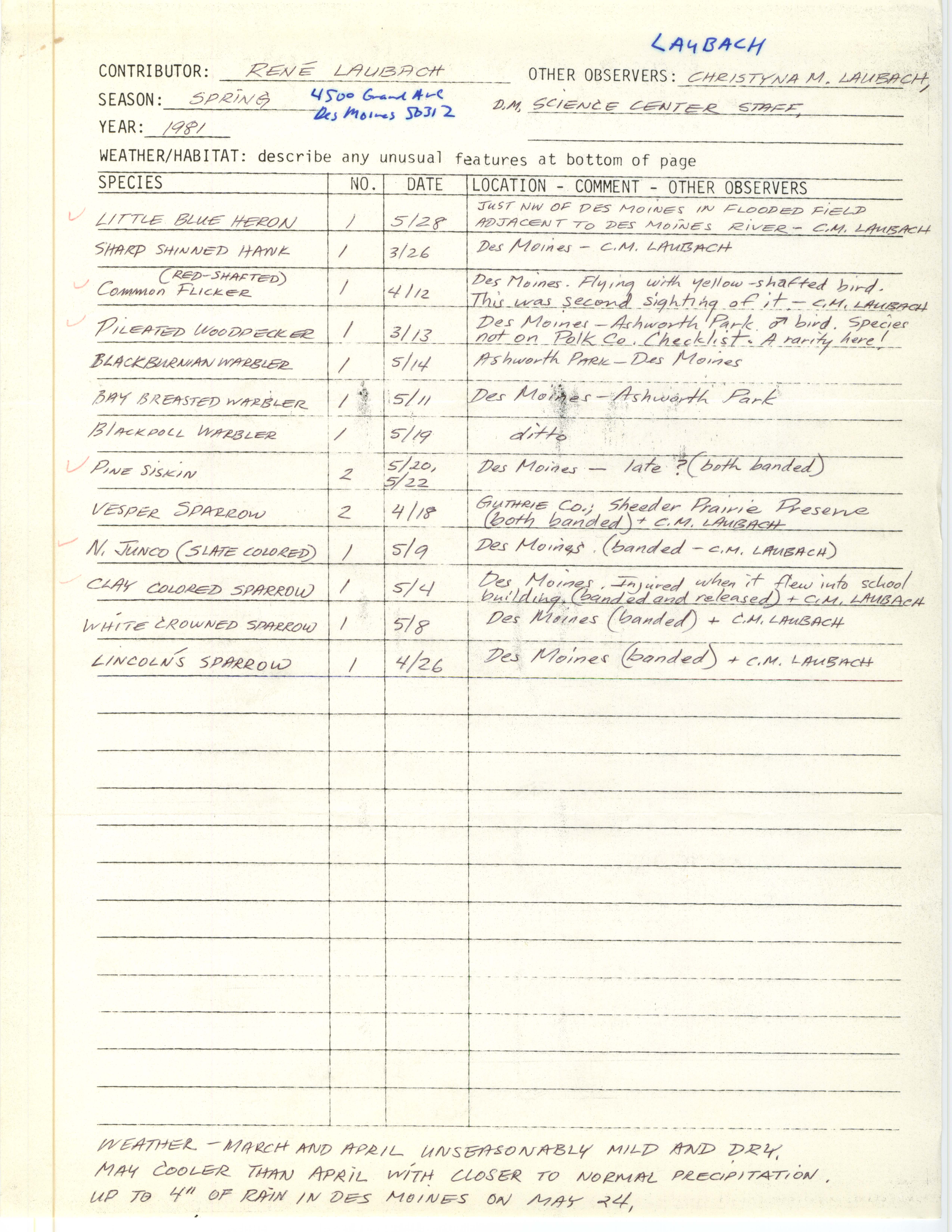 Annotated bird sighting list for spring 1981 compiled by Rene Laubach