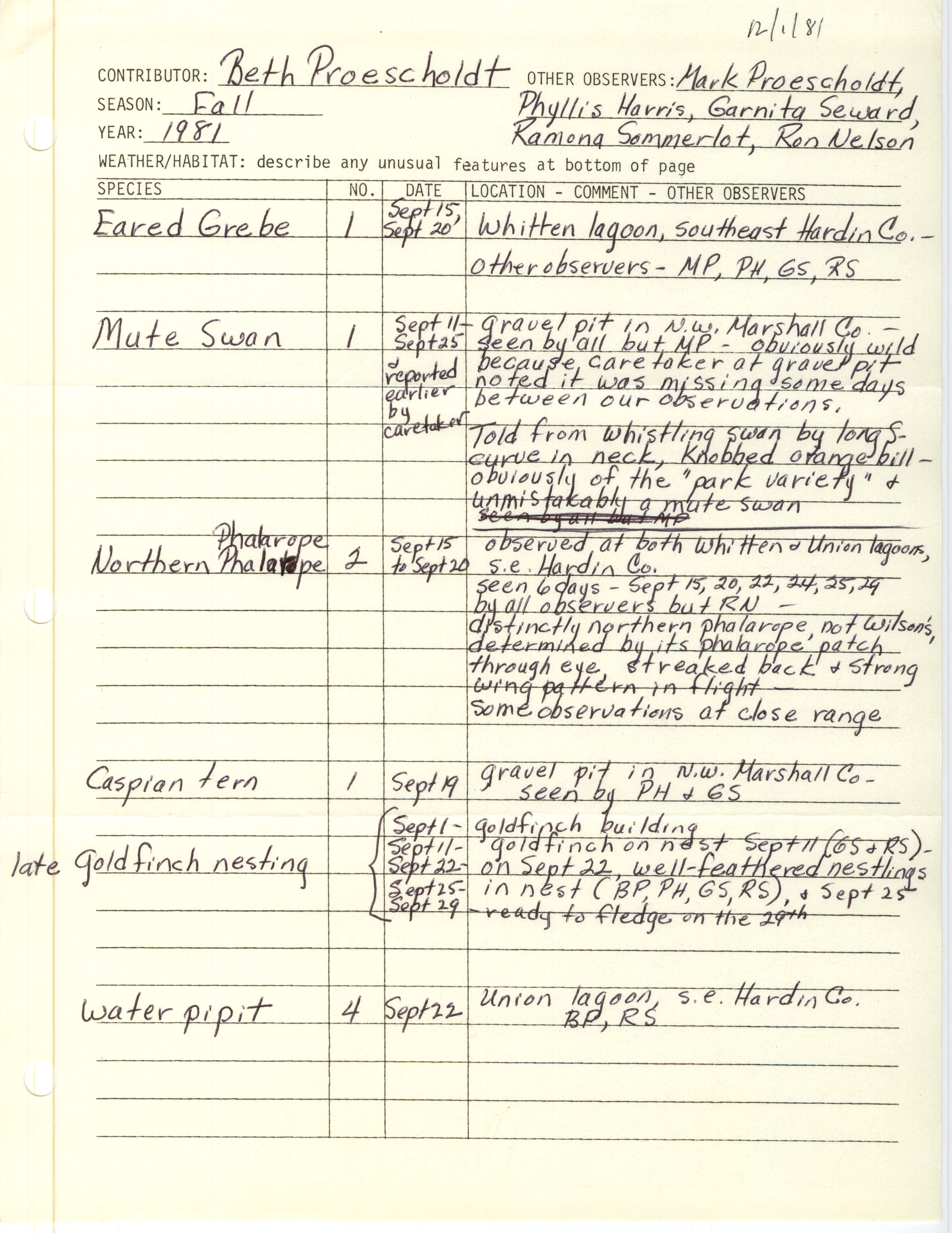 Field notes contributed by Beth Proescholdt, December 1, 1981