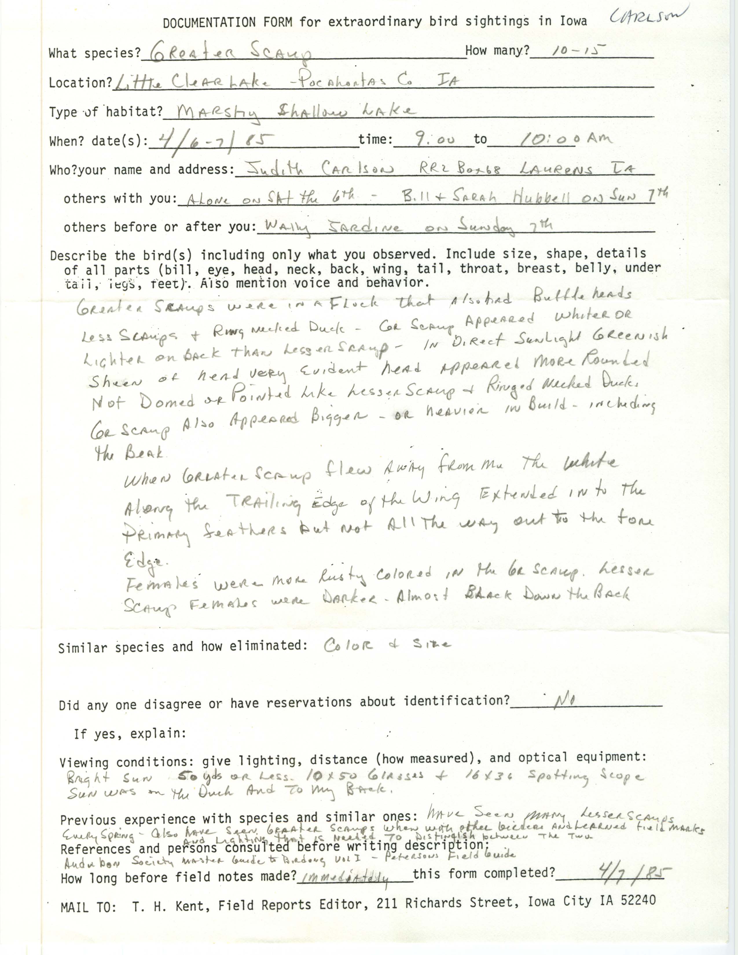 Rare bird documentation form for Greater Scaup at Little Clear Lake in 1985