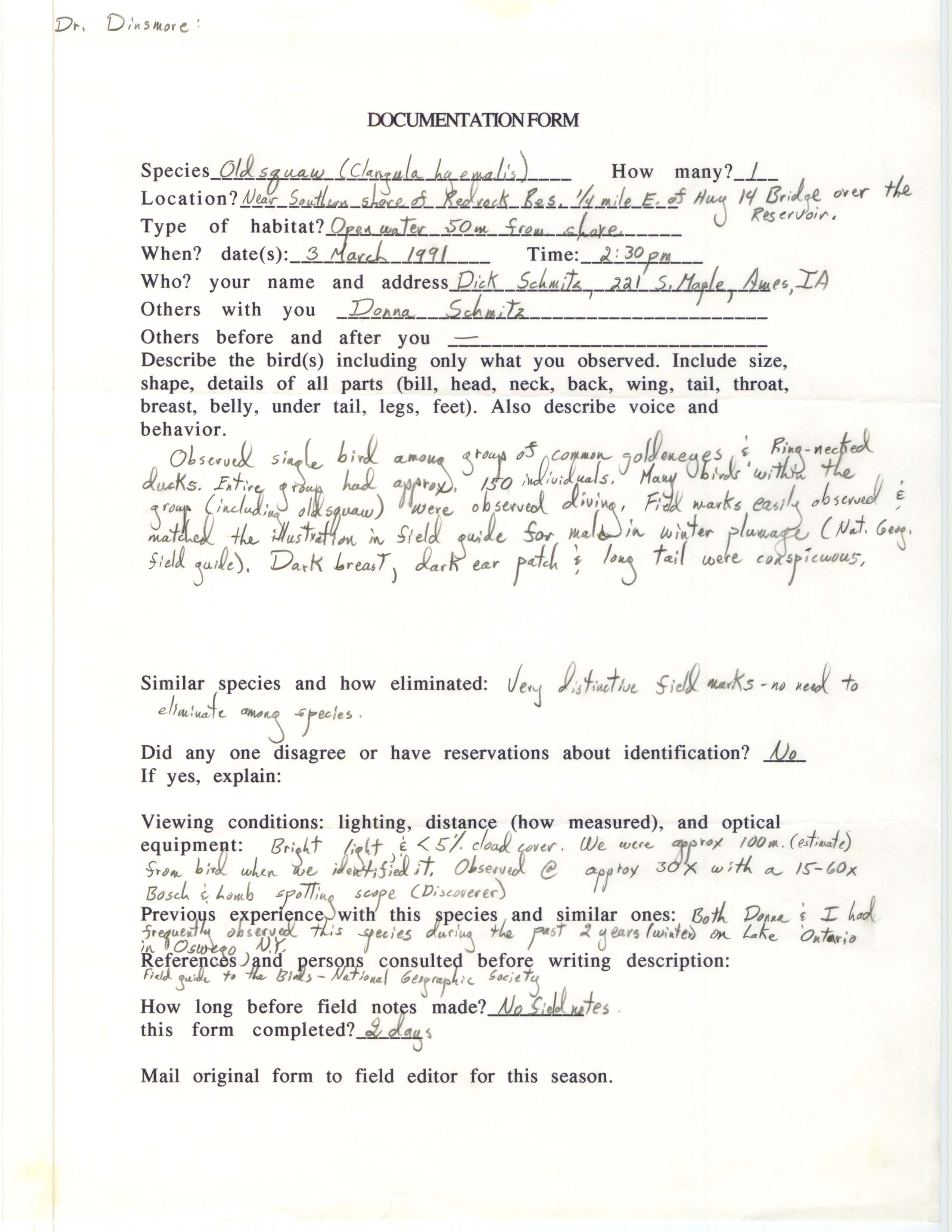 Rare bird documentation form for Long-tailed Duck at Red Rock Reservoir, 1991