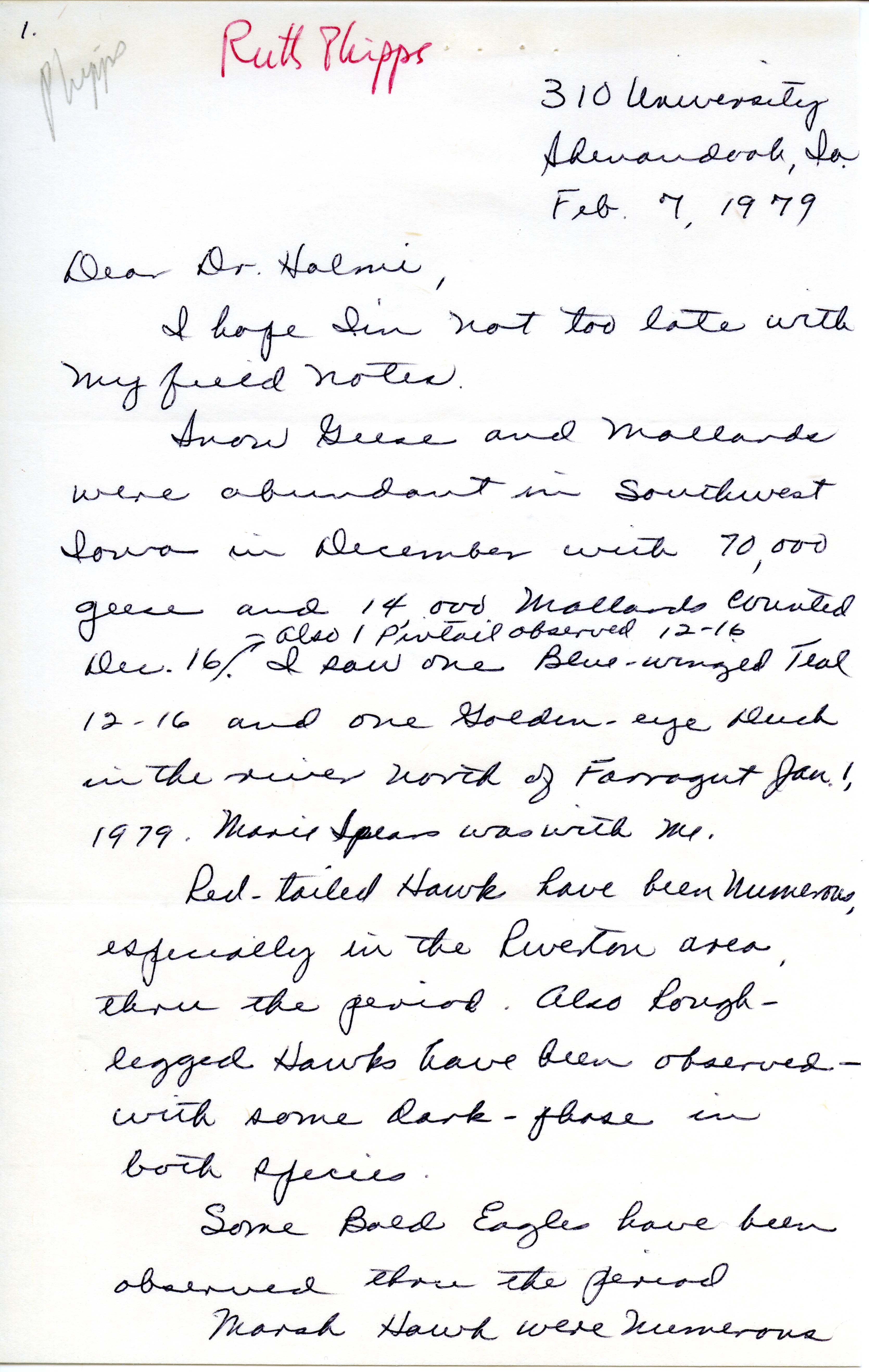 Ruth Phipps letter to Nicholas S. Halmi regarding winter bird sightings, February 7, 1979