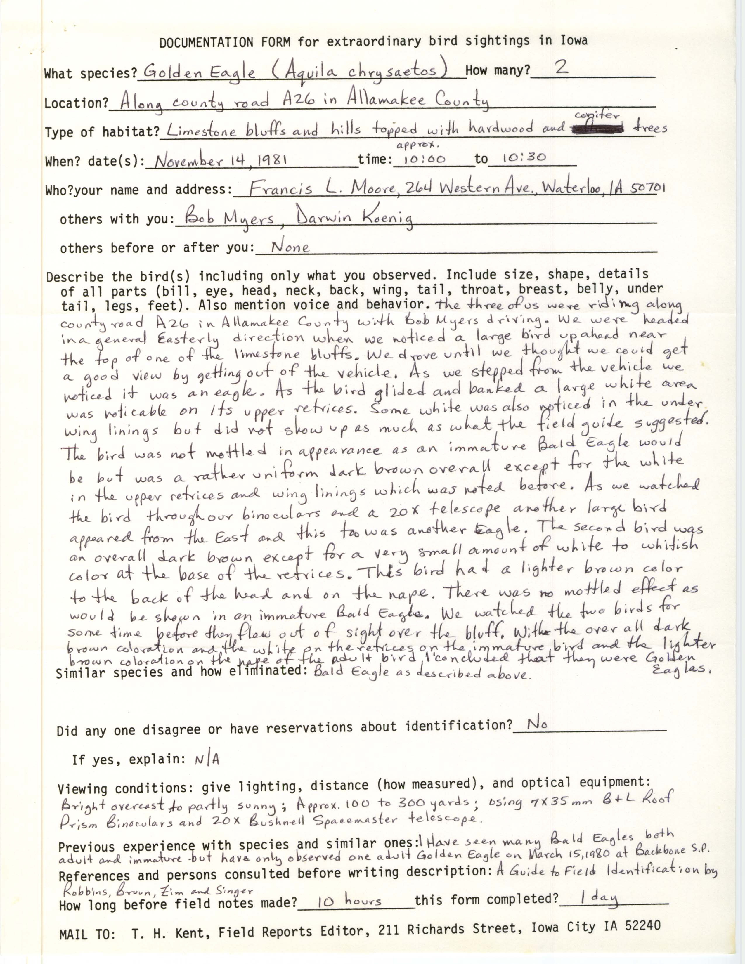 Rare bird documentation form for Golden Eagle at Allamakee County, 1981