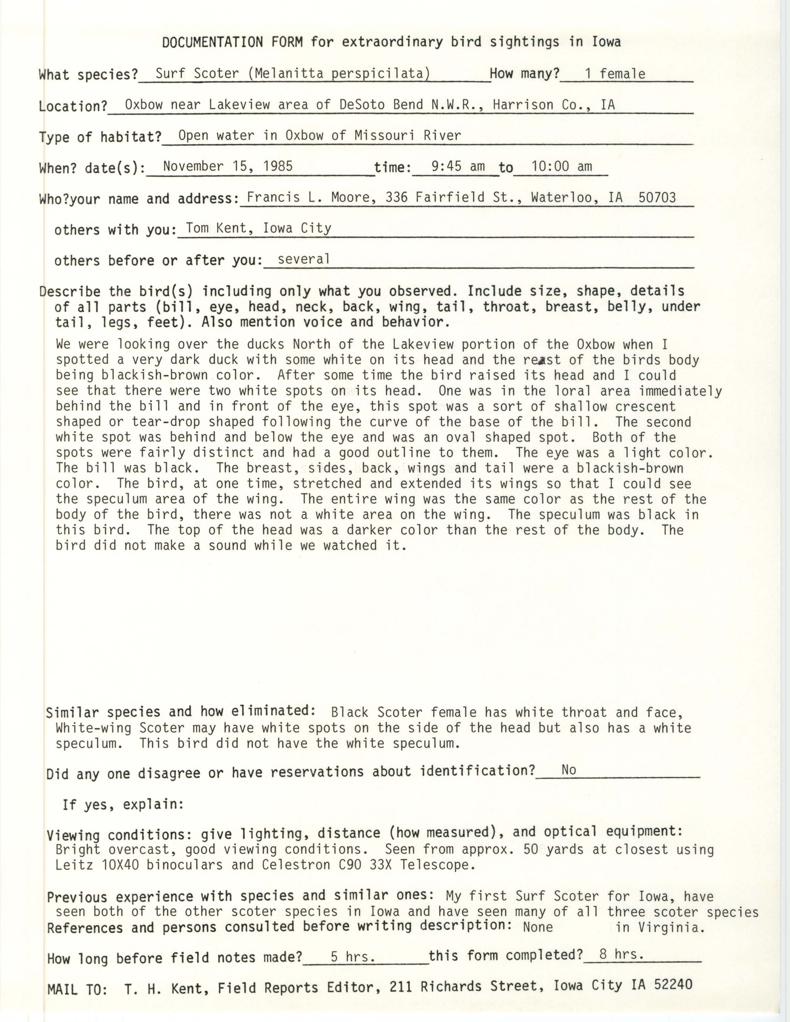 Rare bird documentation form for Surf Scoter at DeSoto Bend National Wildlife Refuge, 1985