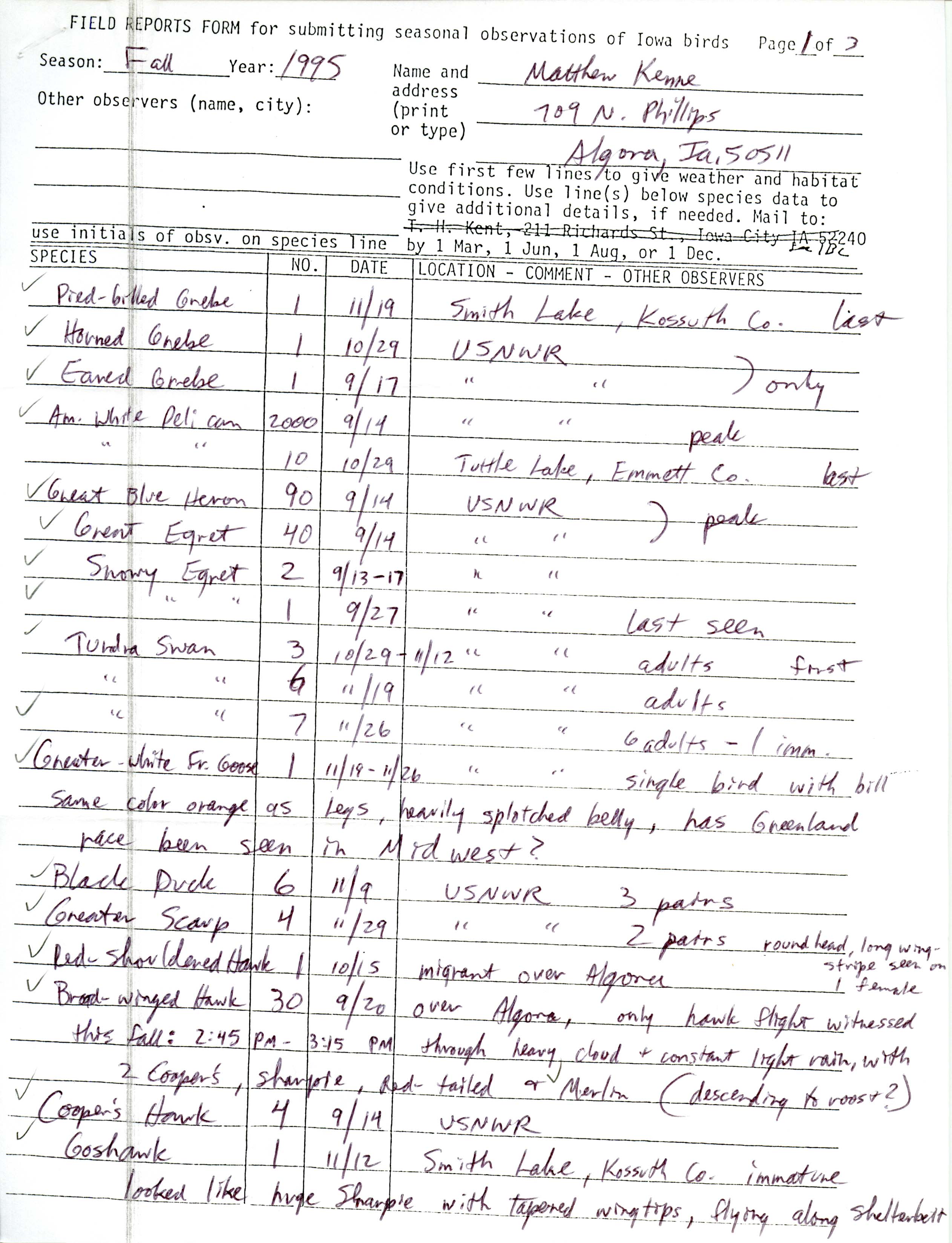 Field reports form for submitting seasonal observations of Iowa birds, Matthew Kenne, fall 1995