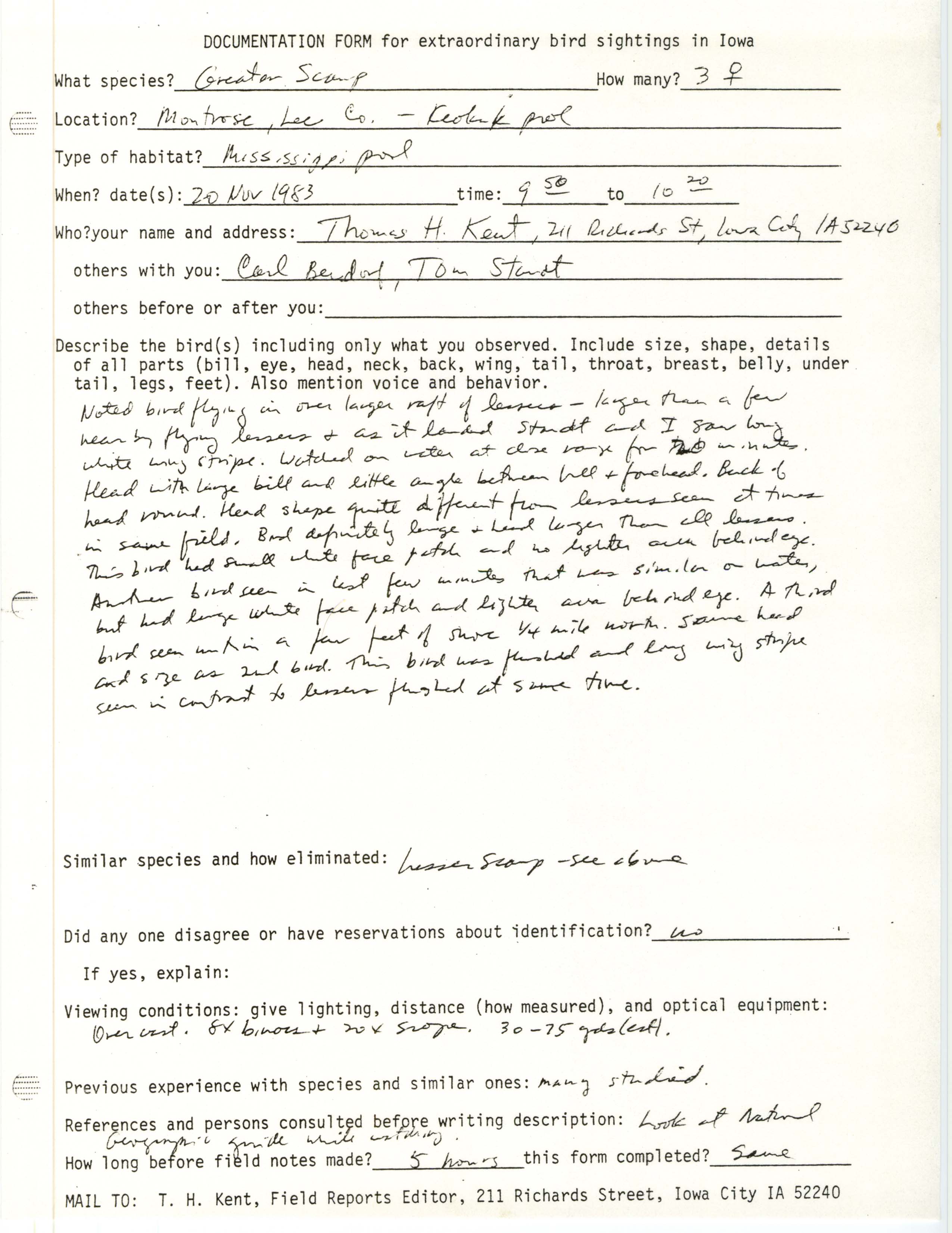 Rare bird documentation form for Greater Scaup at Montrose, 1983