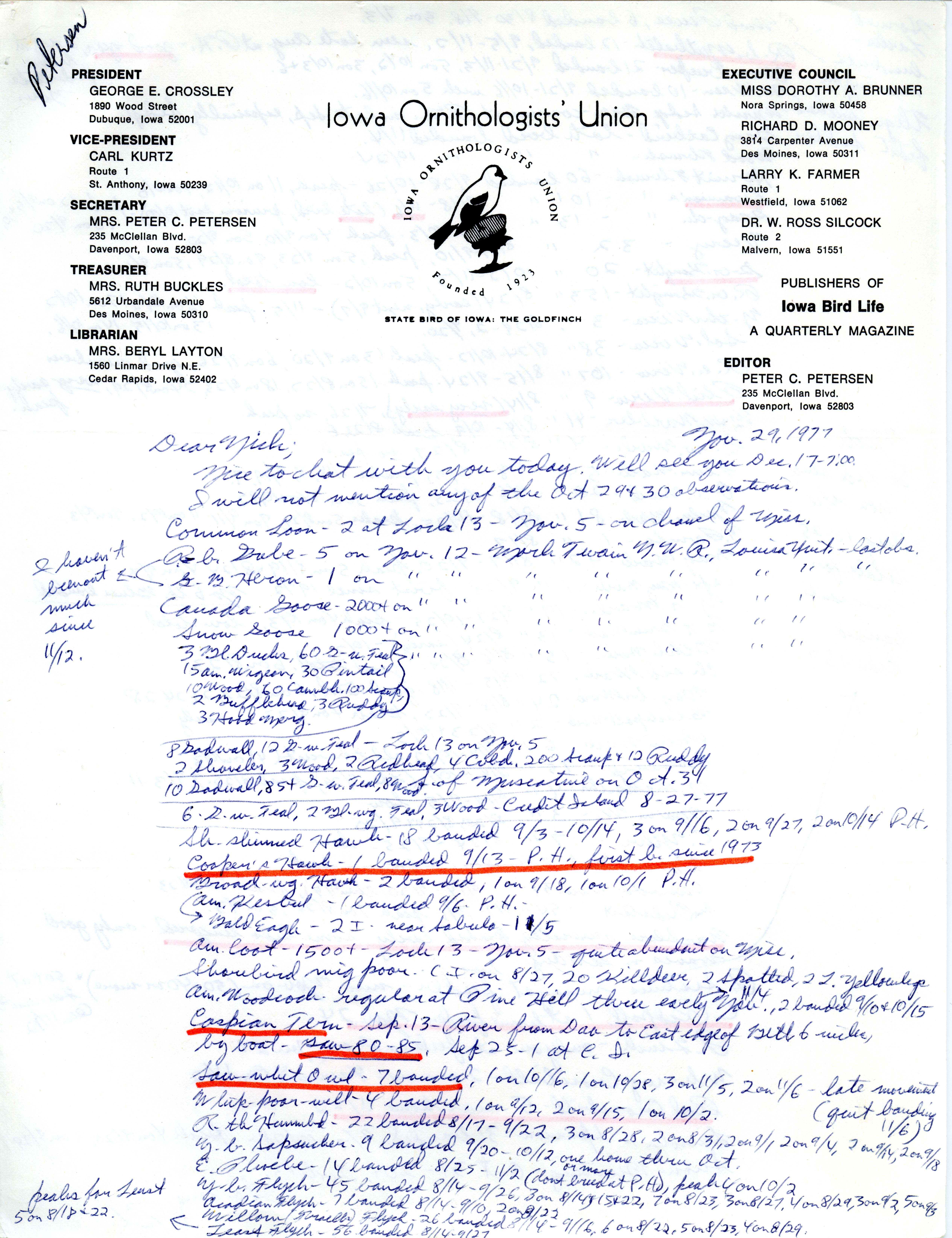 Peter C. Petersen letter to Nicholas S. Halmi regarding bird sightings and bird banding, November 29, 1977