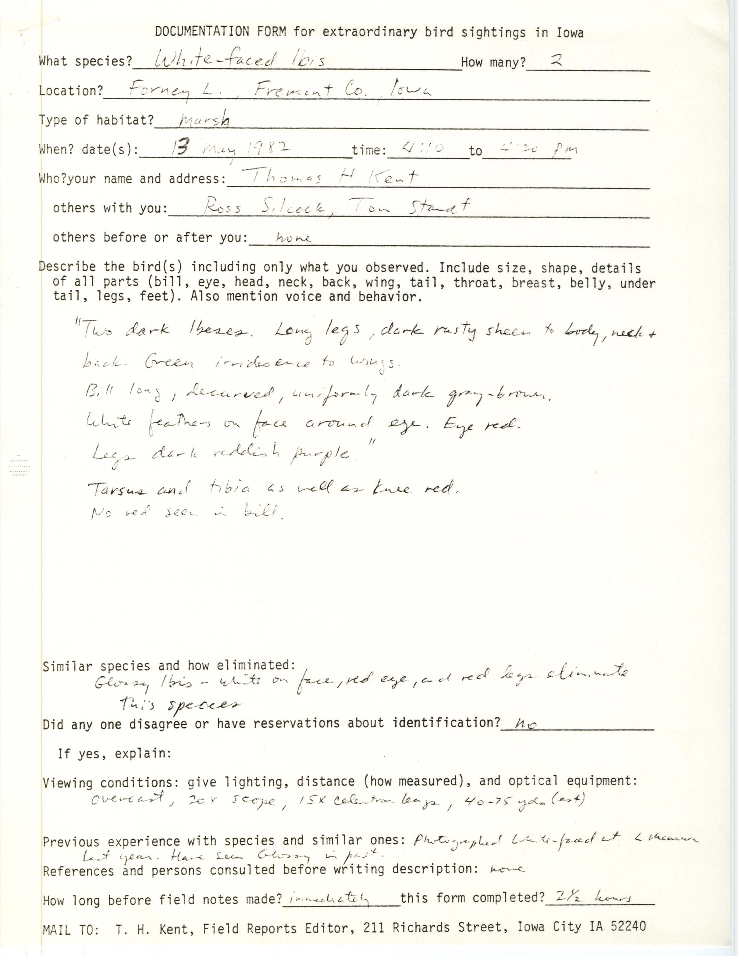 Rare bird documentation form for White-faced Ibis at Forneys Lake, 1982