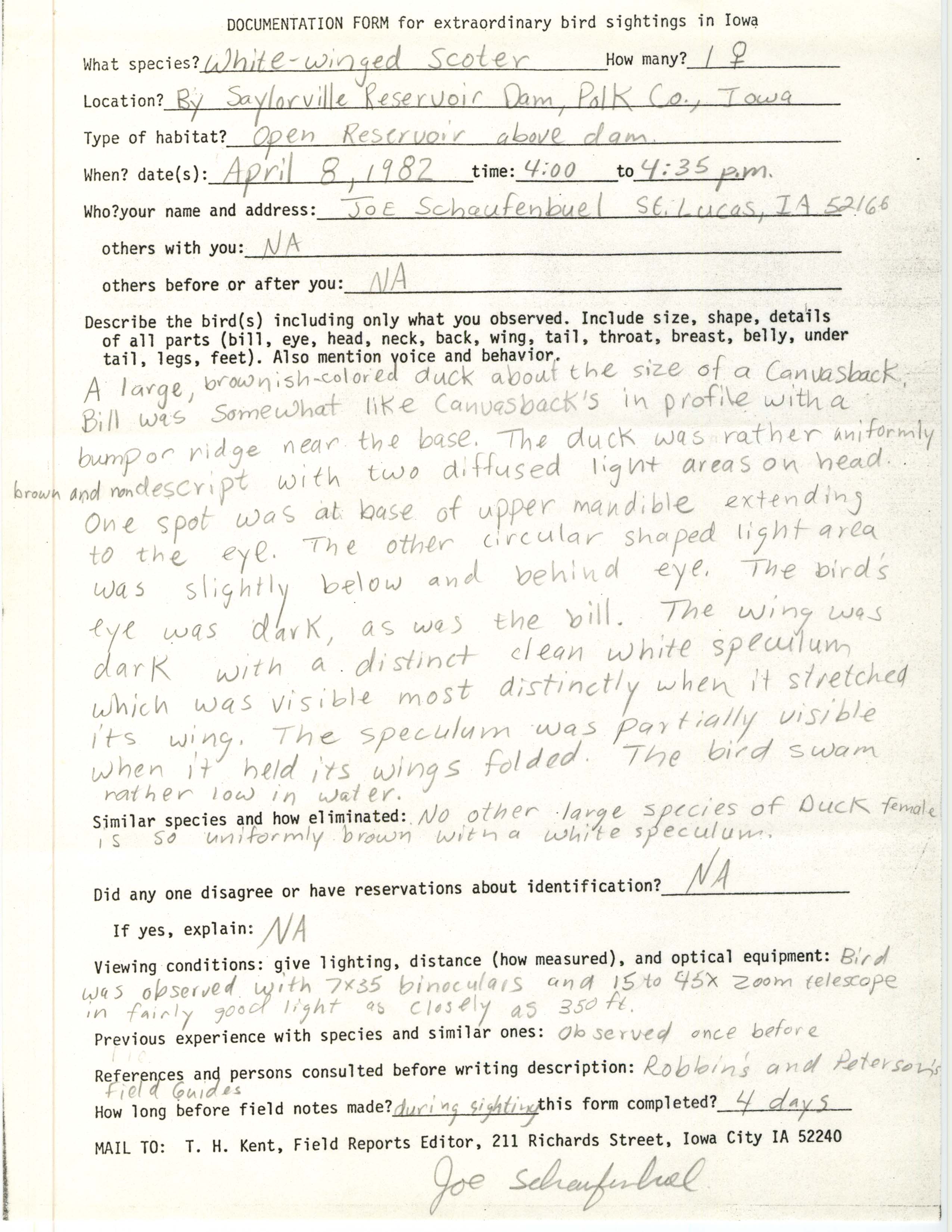 Rare bird documentation form for White-winged Scoter at Saylorville Reservoir Dam, 1982