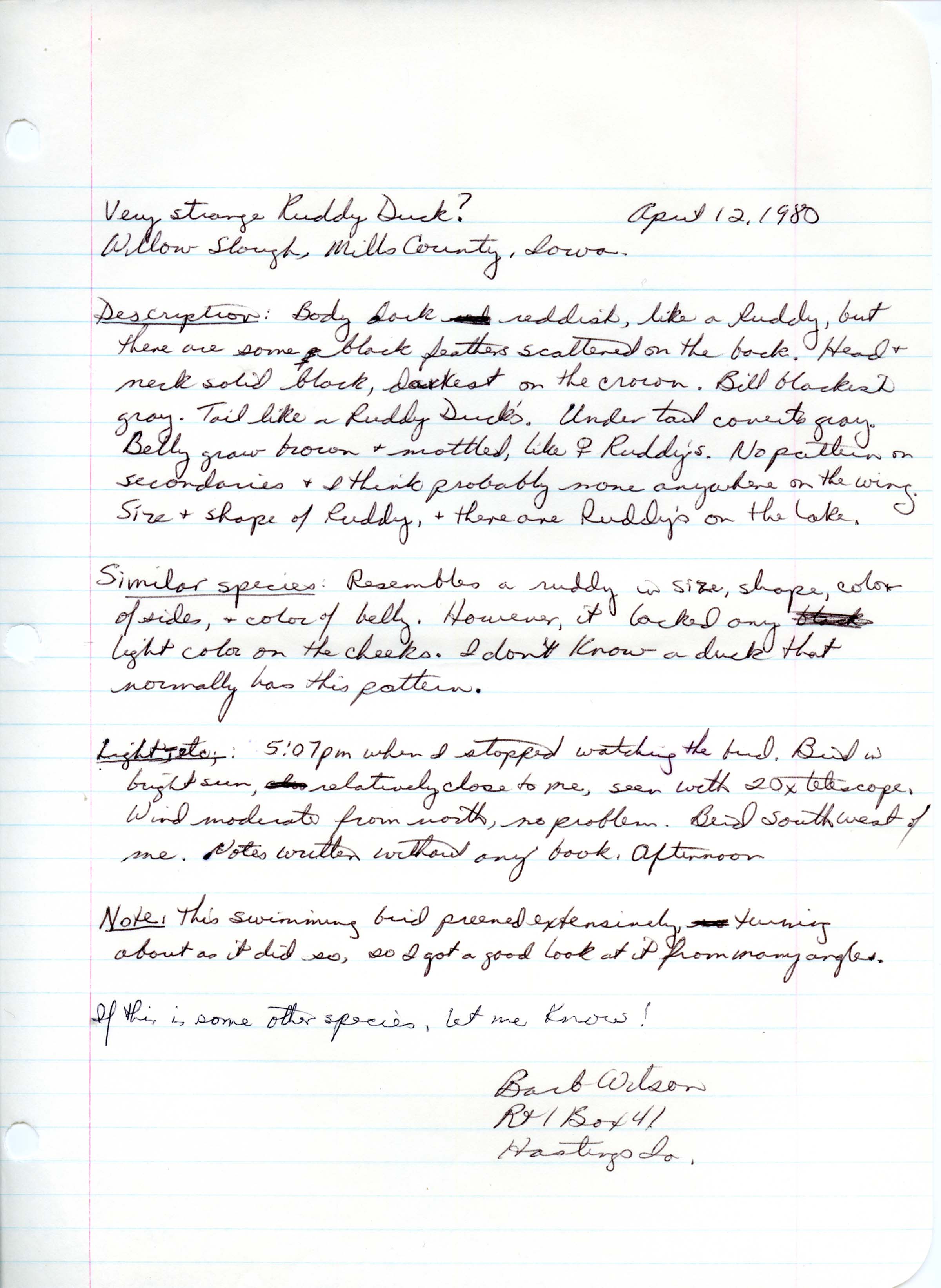 Rare bird documentation form for Ruddy Duck at Willow Slough, 1980