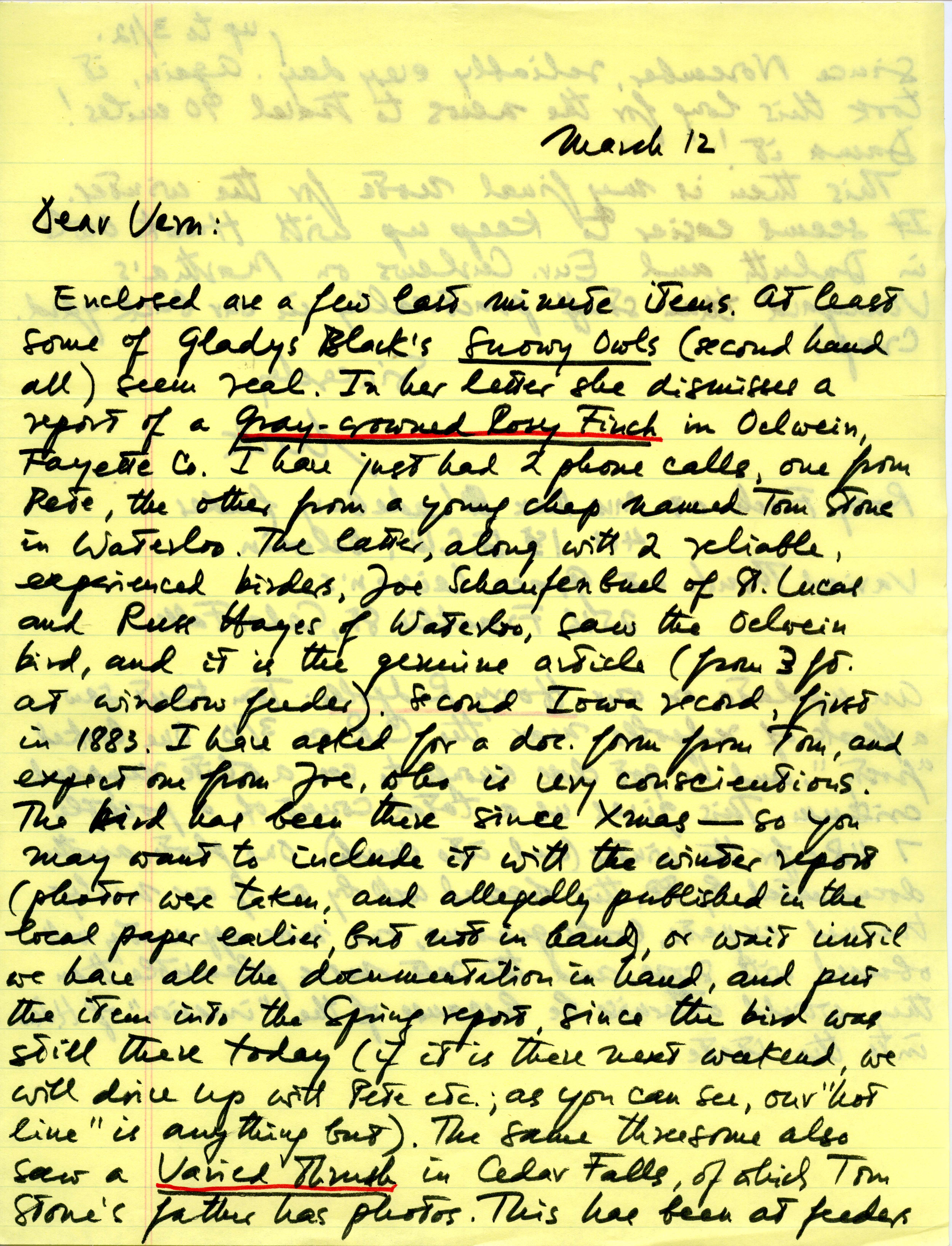  Nicholas S. Halmi letter to Vernon M. Kleen regarding bird sightings, March 12, 1978
