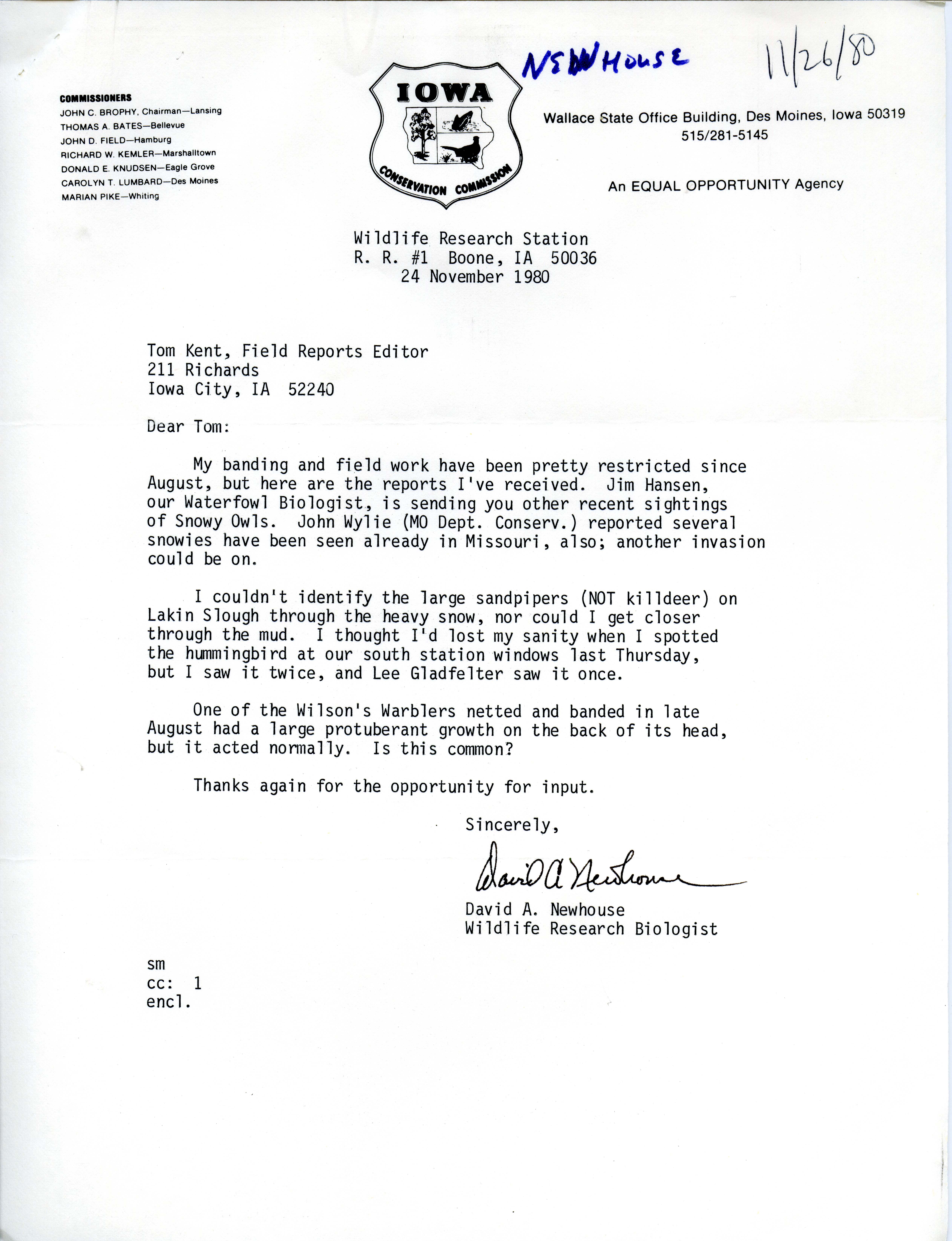 David A. Newhouse letter to Thomas Kent regarding Fall birds sighted, November 24, 1980