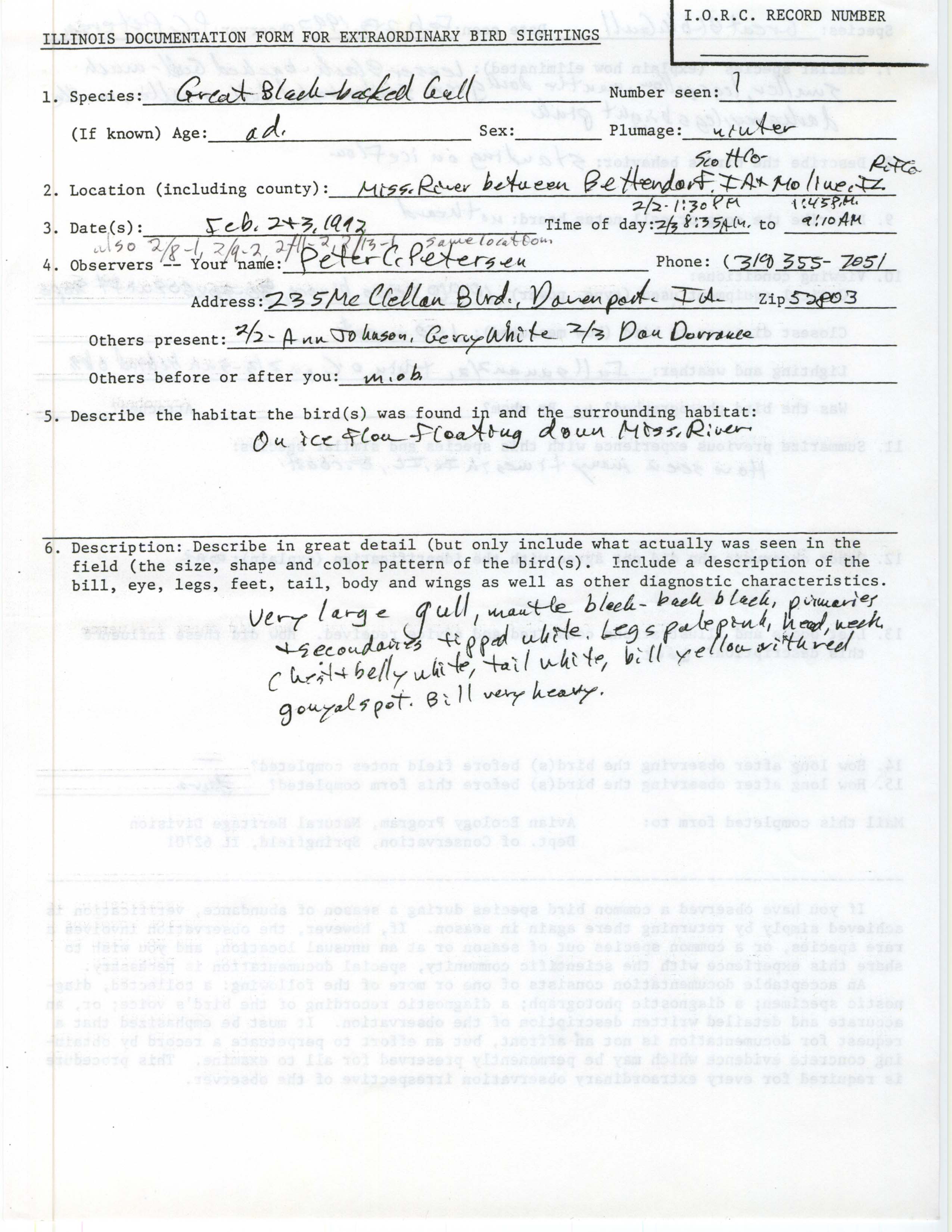 Rare bird documentation form for Great Black-backed Gull at the Mississippi River between Bettendorf and Moline in 1992