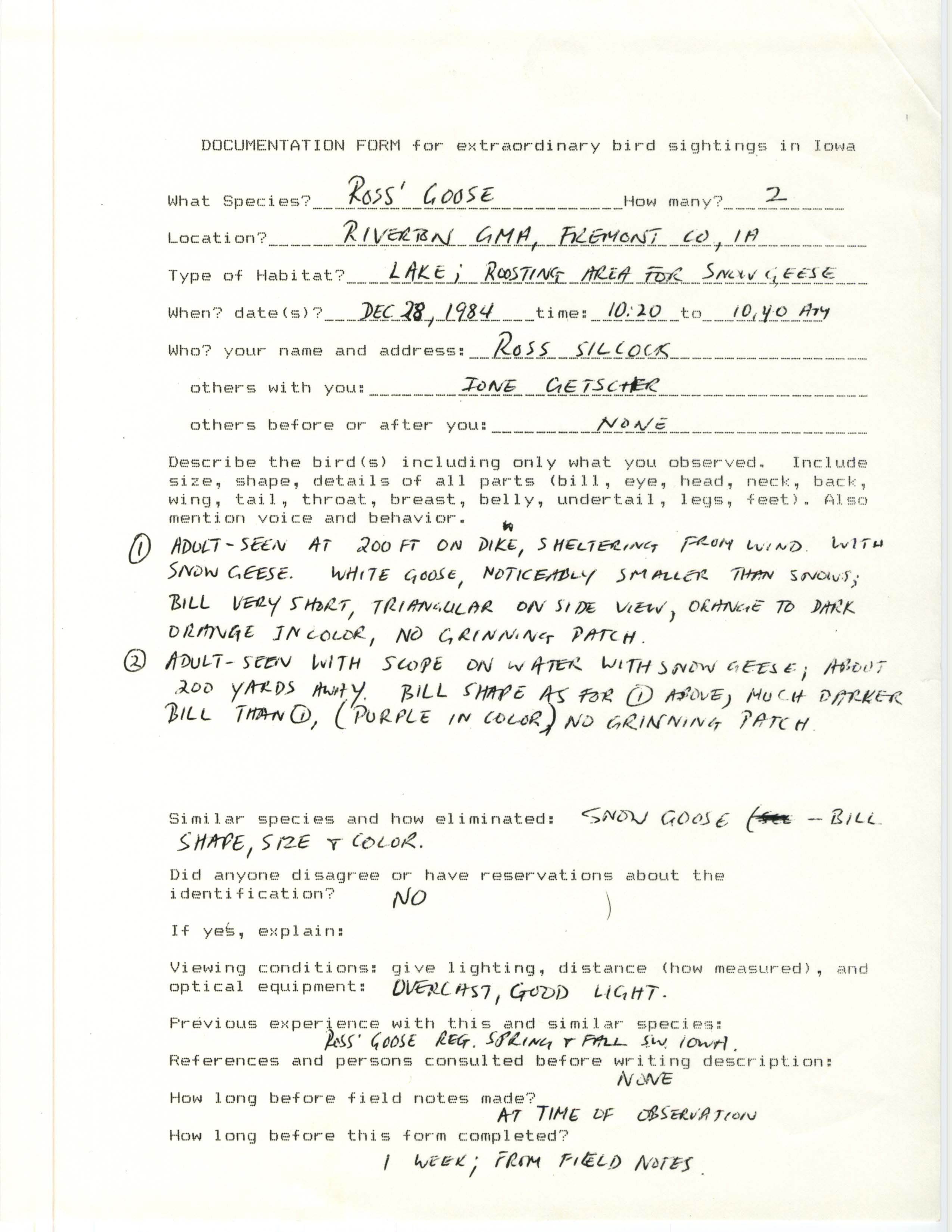 Rare bird documentation form for Ross' Goose at Riverton Game Management Area, 1984