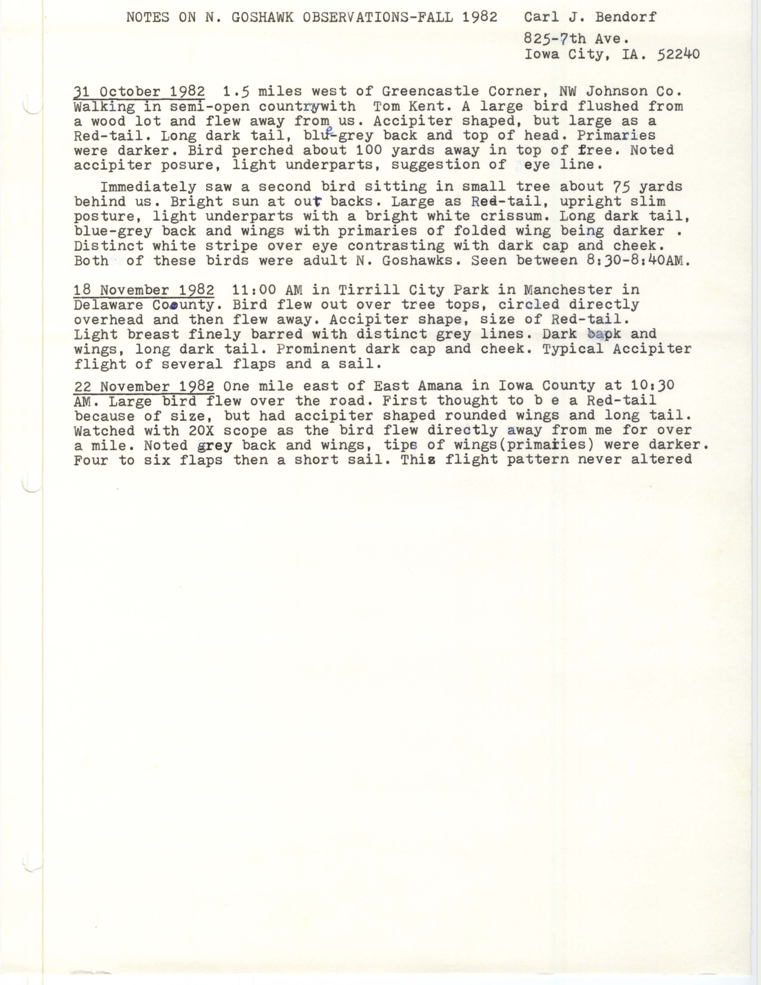 Notes on N. Goshawk observations - fall 1982