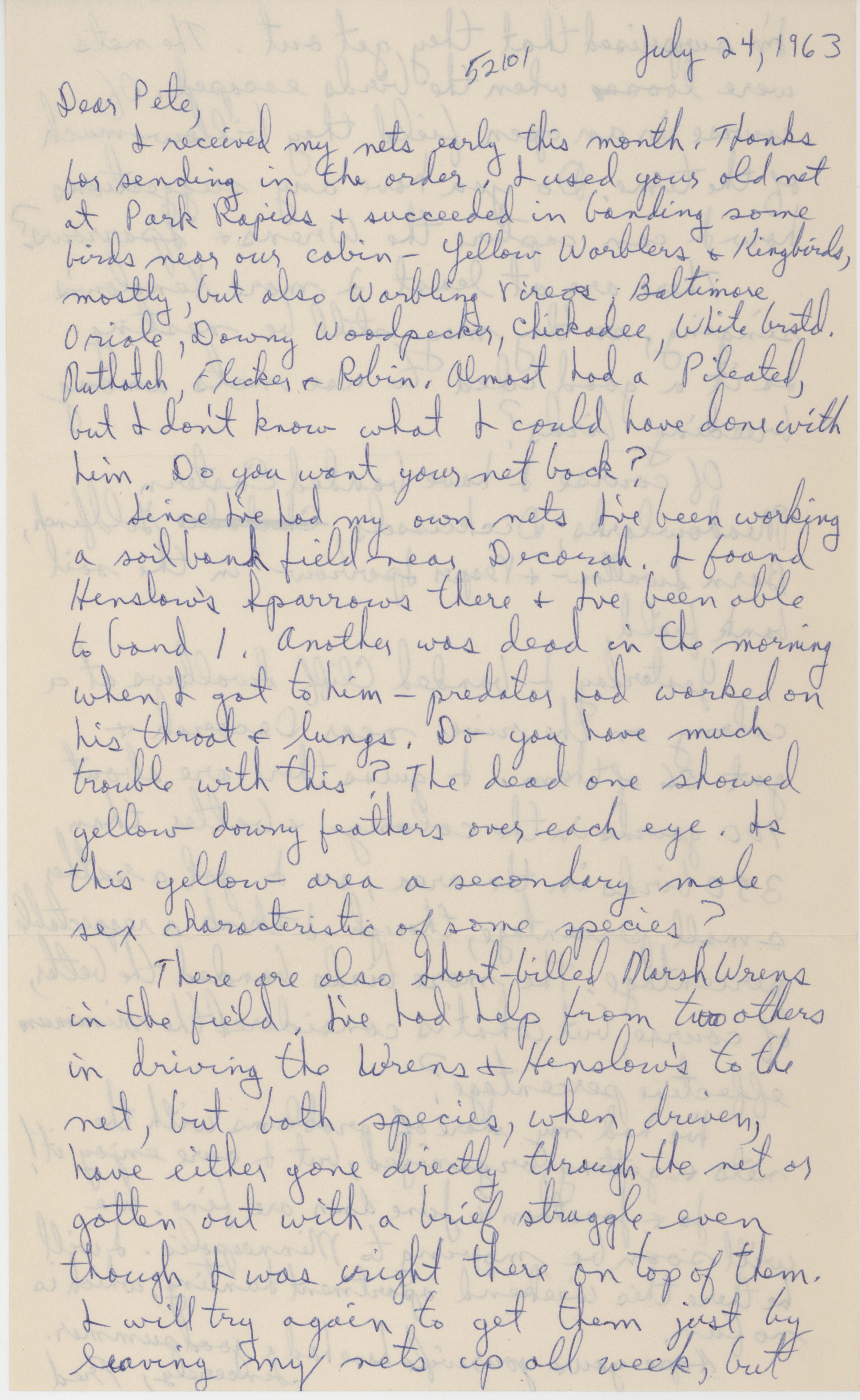 Letter to Peter C. Petersen regarding bird summer sightings, July 24, 1963
