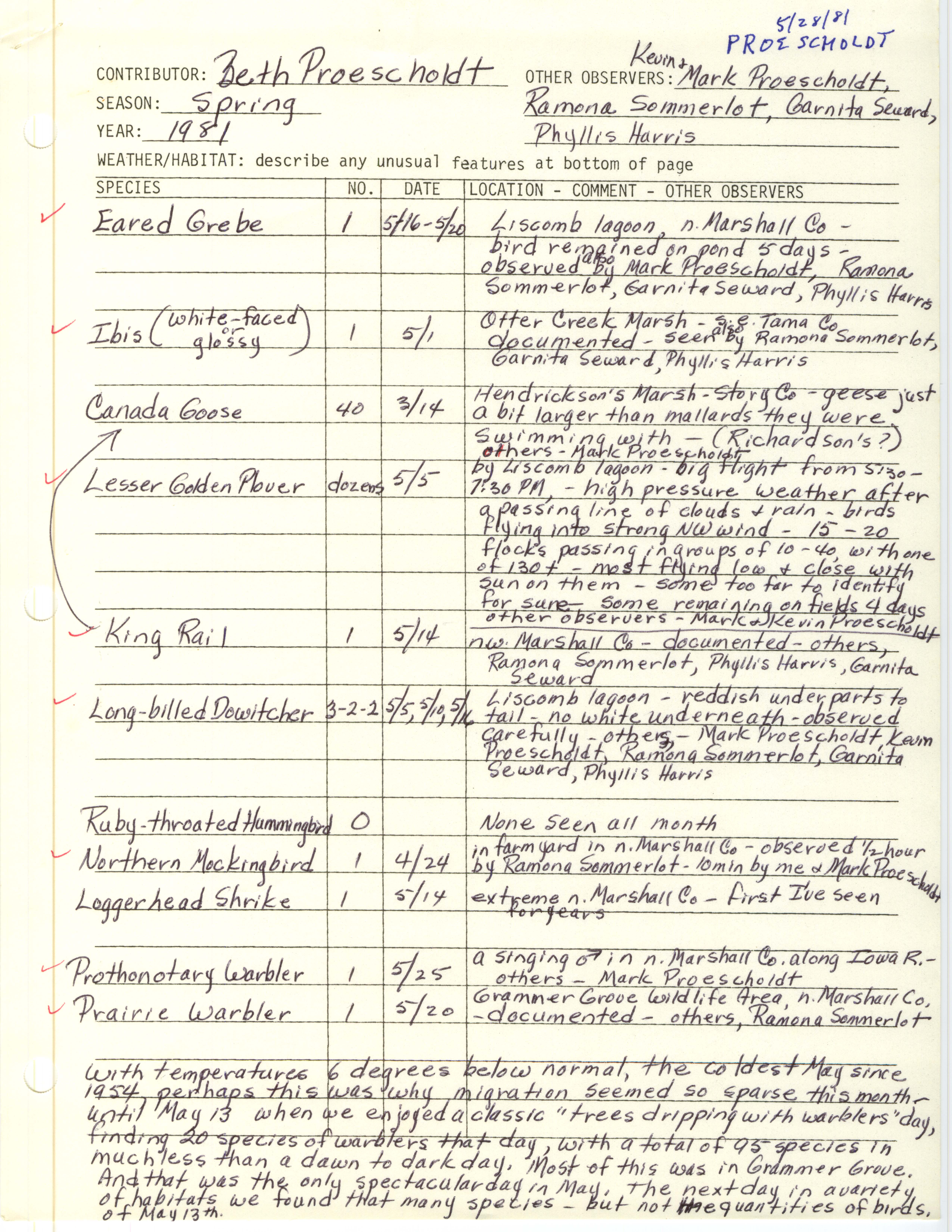 Annotated bird sighting list for Spring 1981 compiled by Beth Proescholdt