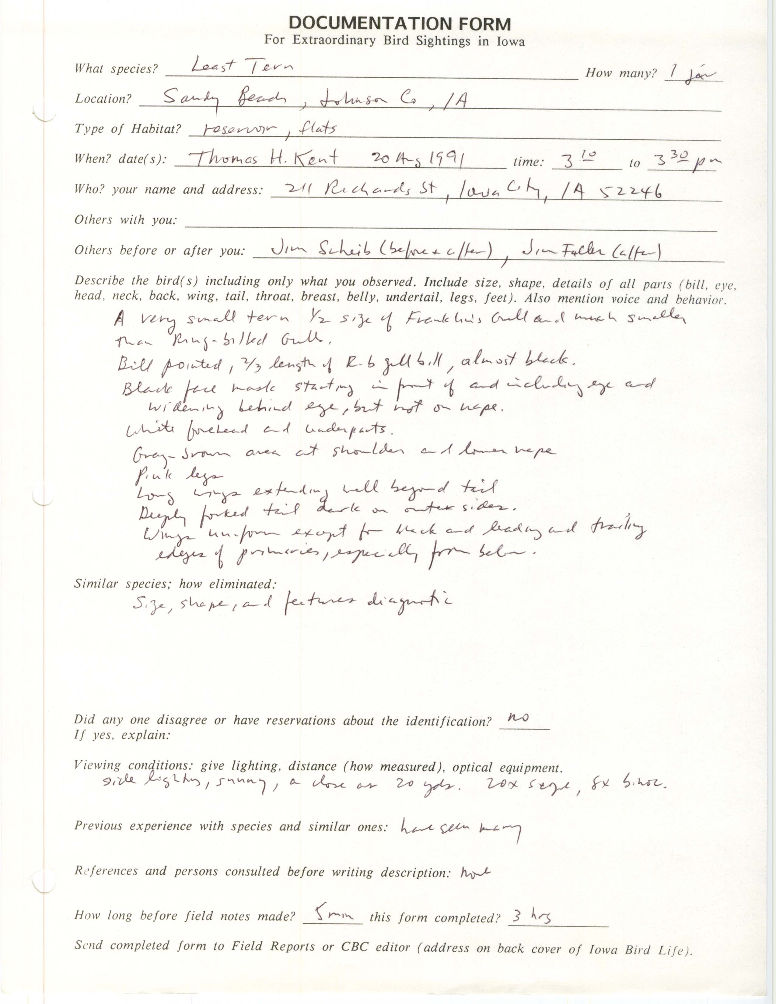 Rare bird documentation form for Least Tern at Sandy Beach, 1991